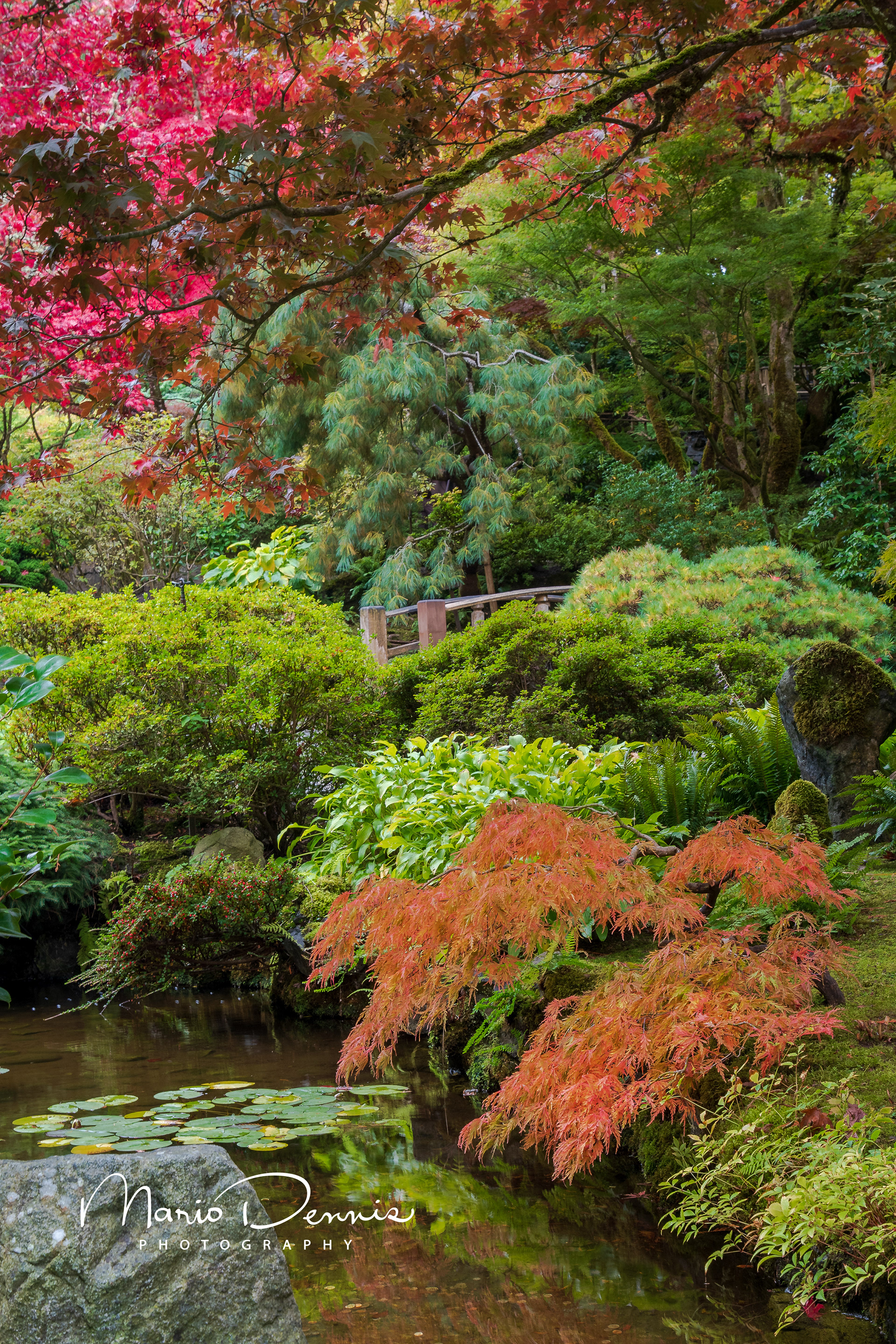 Butchart Gardens, Victoria, BC