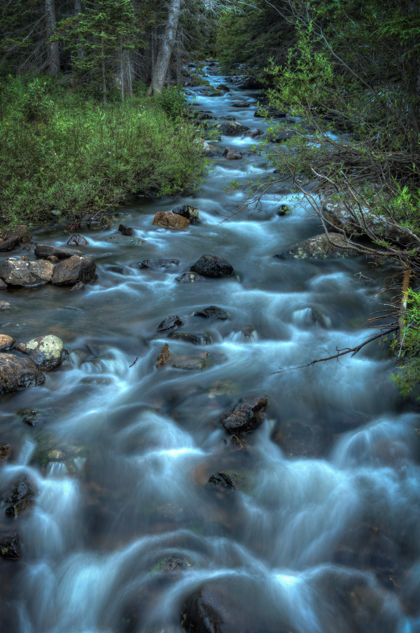 The trail up to Mills Lake follows along Glacier Creek, and crosses over it as you hike the last half mile or so to the lake.  I've tried capturing this shot a number of times before, but never at the right time of day.  This was probably about an hour before sunset, so the whole scene was in the shade.HDR composite of 5 bracketed images merged in Photomatix Pro, with additional processing in Lightroom and Photoshop.Rocky Mountain National Park7 August 2014PENTAX K-3, Sigma 18-250mm f/3.5-6.3 DC OS HSMISO 100 32 mm  1.3 sec at ƒ / 14Prints of my work are available from my website at http://www.fingolfinphoto.comFollow me on Facebook at http://www.facebook.com/fingolfinphoto or http://www.facebook.com/pesterleAlso, http://500px.com/pesterle   http://www.flickr.com/photos/fingolfinphoto