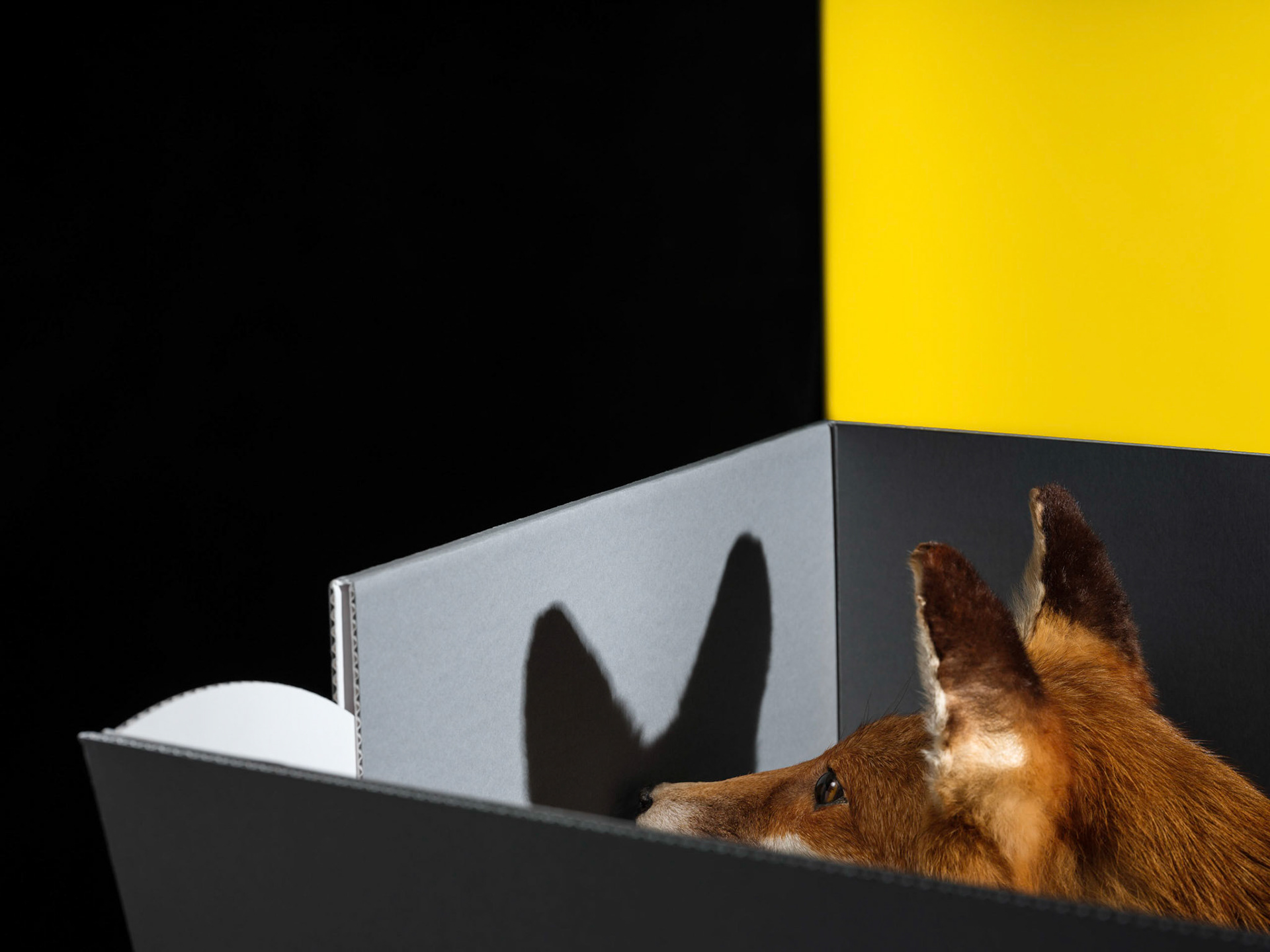 Archivboxen.