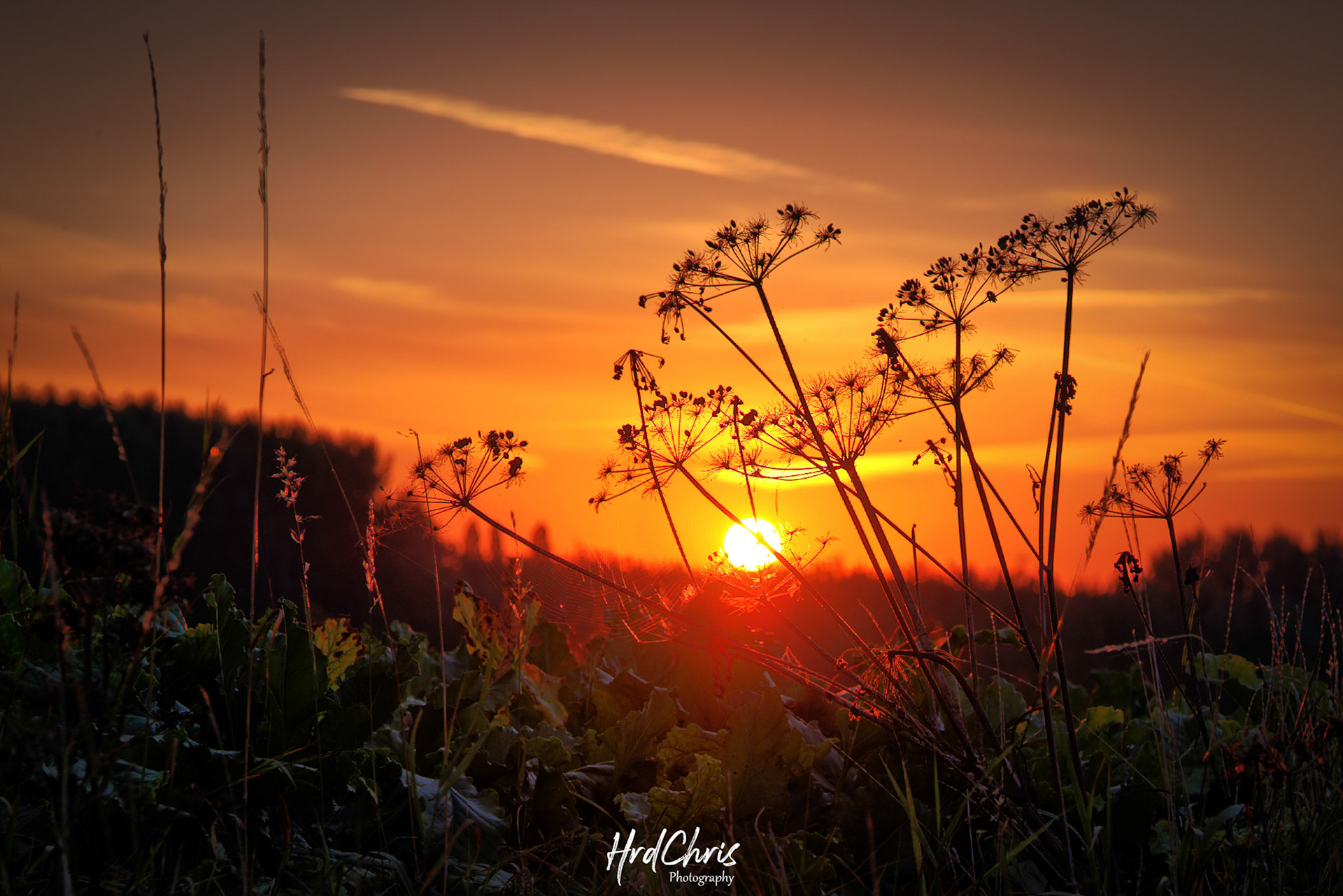 HDR created and tone mapped with easyHDR 3.14.1: [1] DSCF2342.RAF, [2] DSCF2343.RAF, [3] DSCF2344.RAF