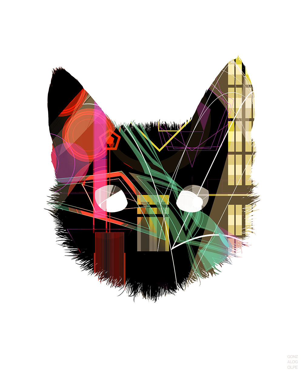 Cat, 2014. Digital
