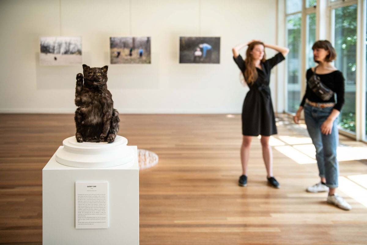 Fotografie: Bart Grietens