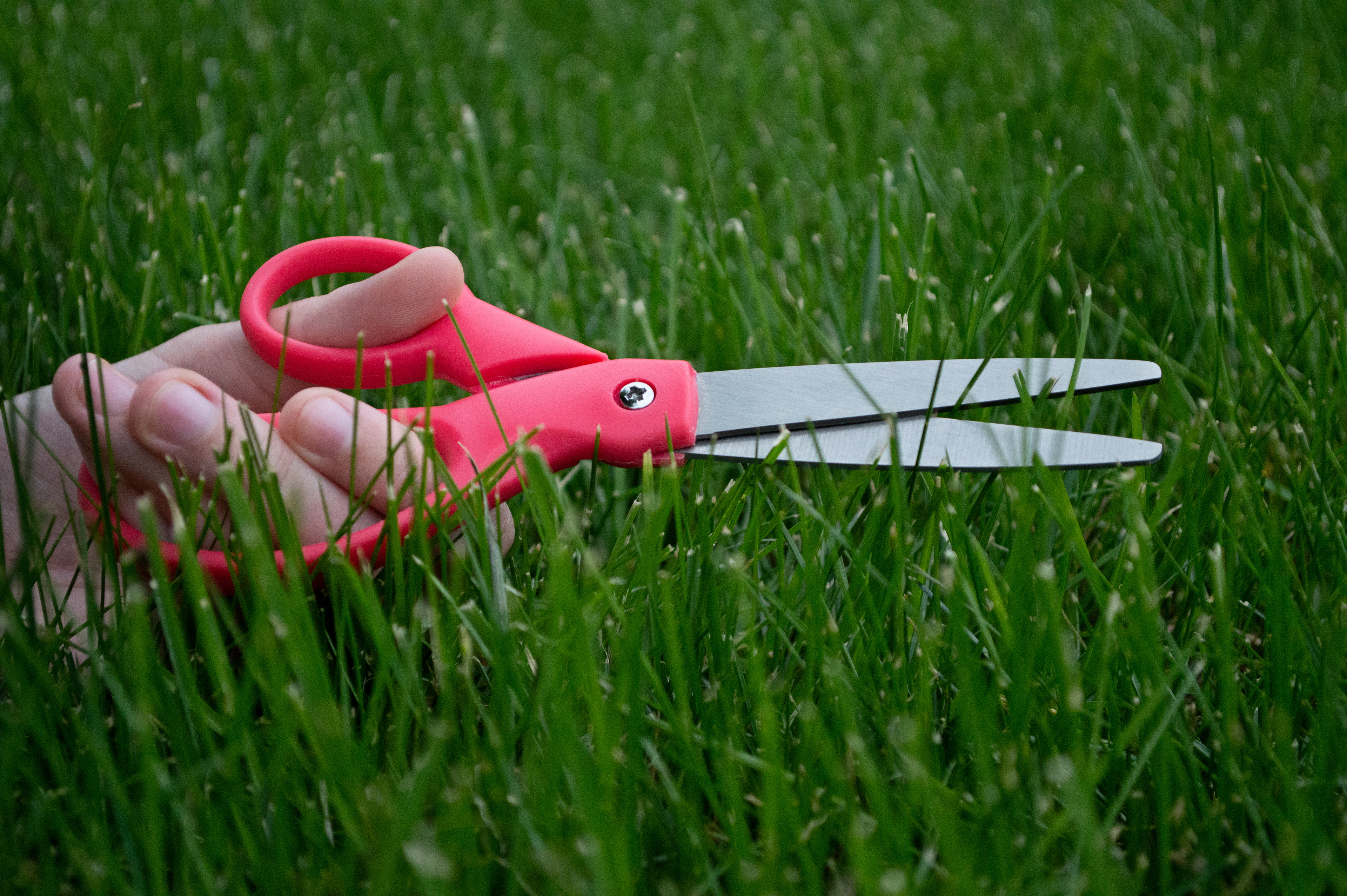 Sam Dayton, Yard Work