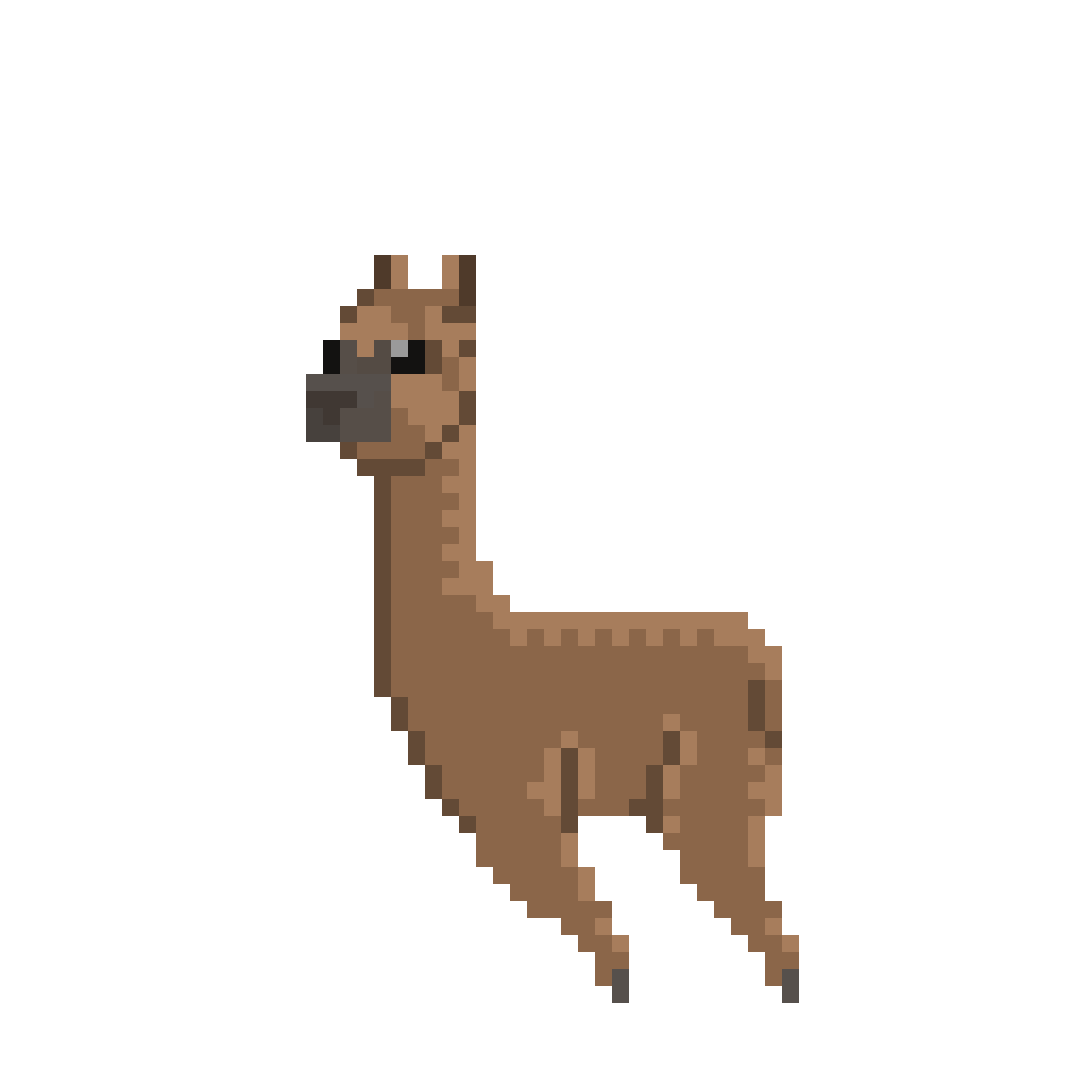 2020 Bounding Alpaca!