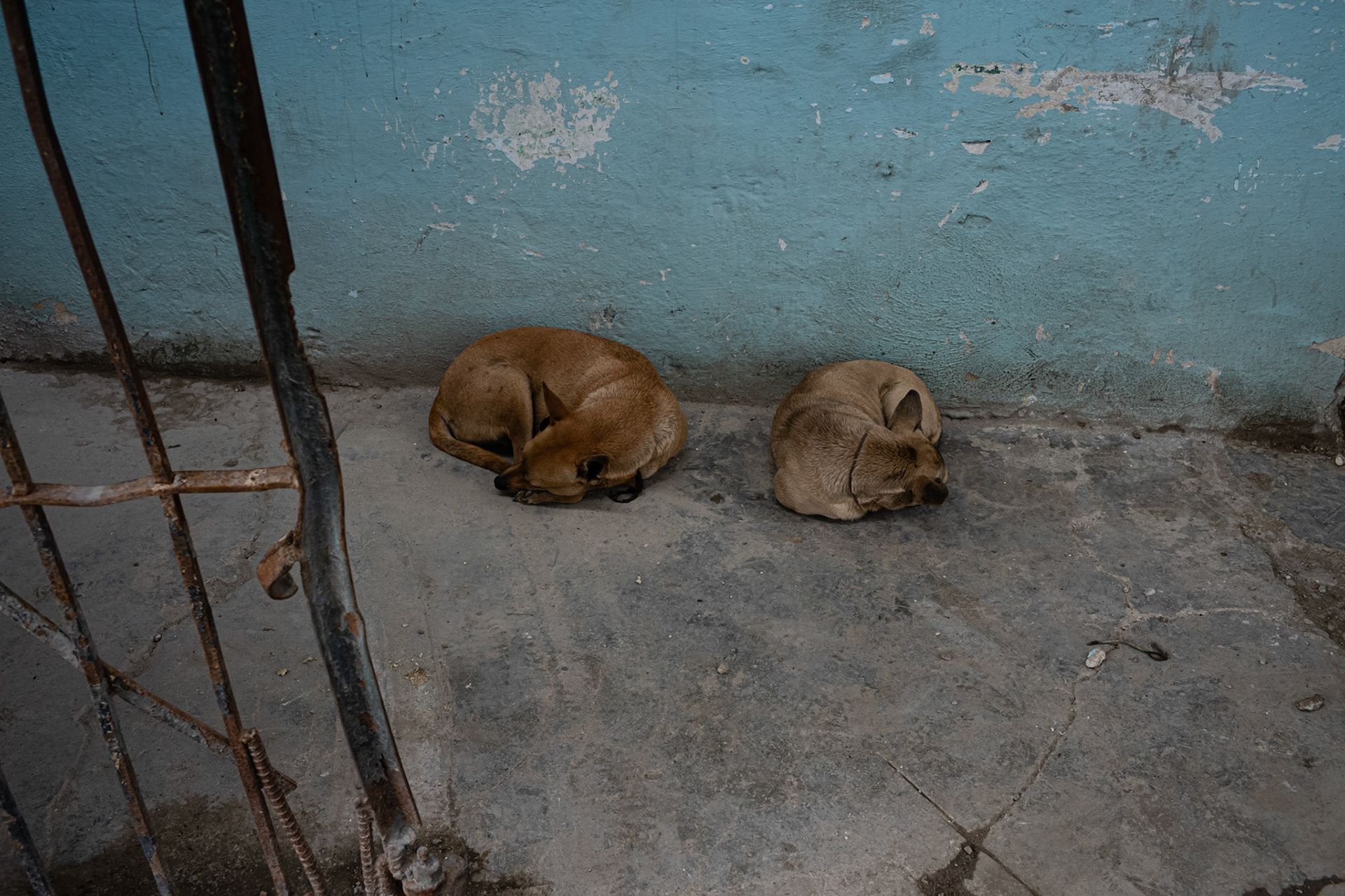 Havana, 2018