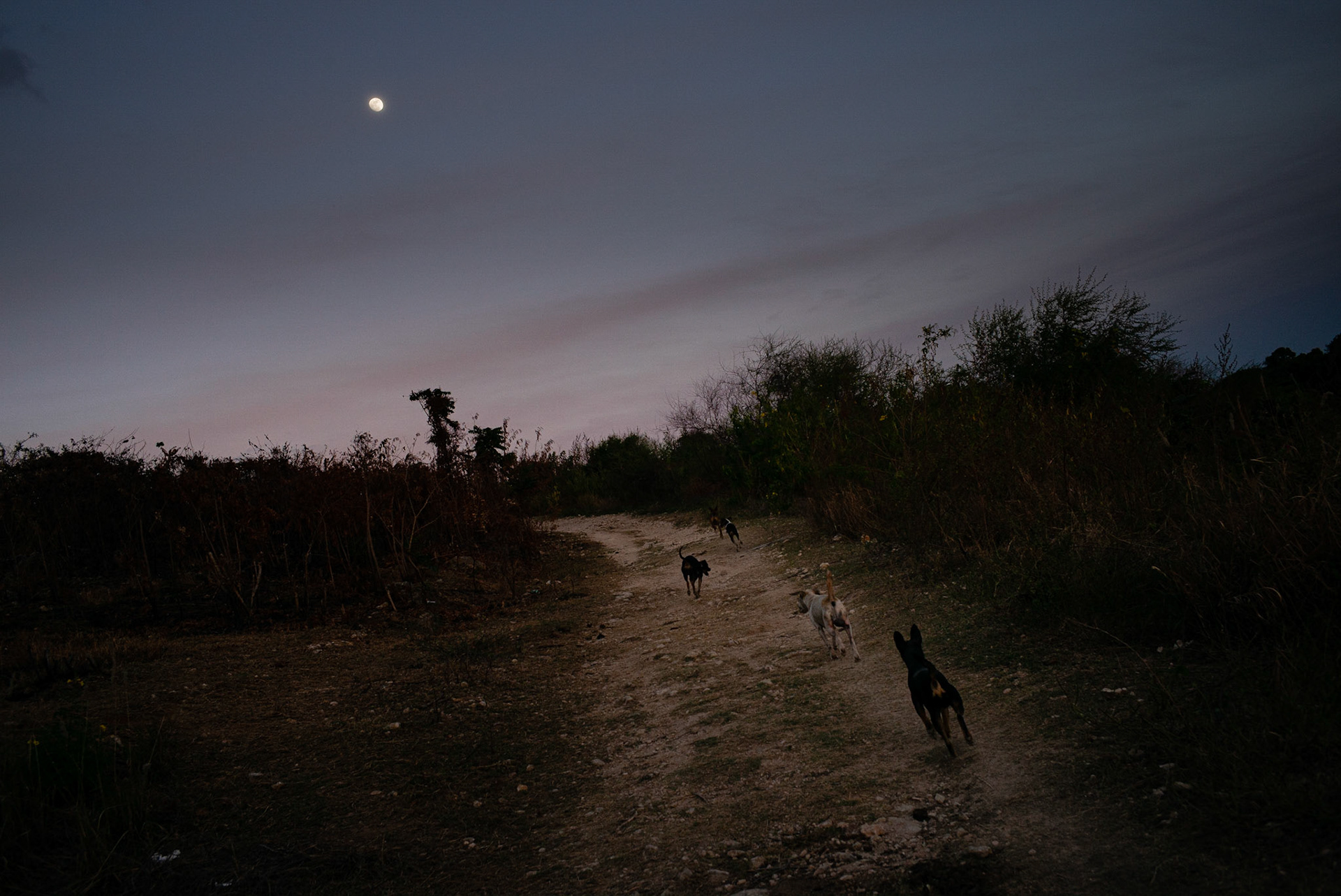 Trinidad, 2016