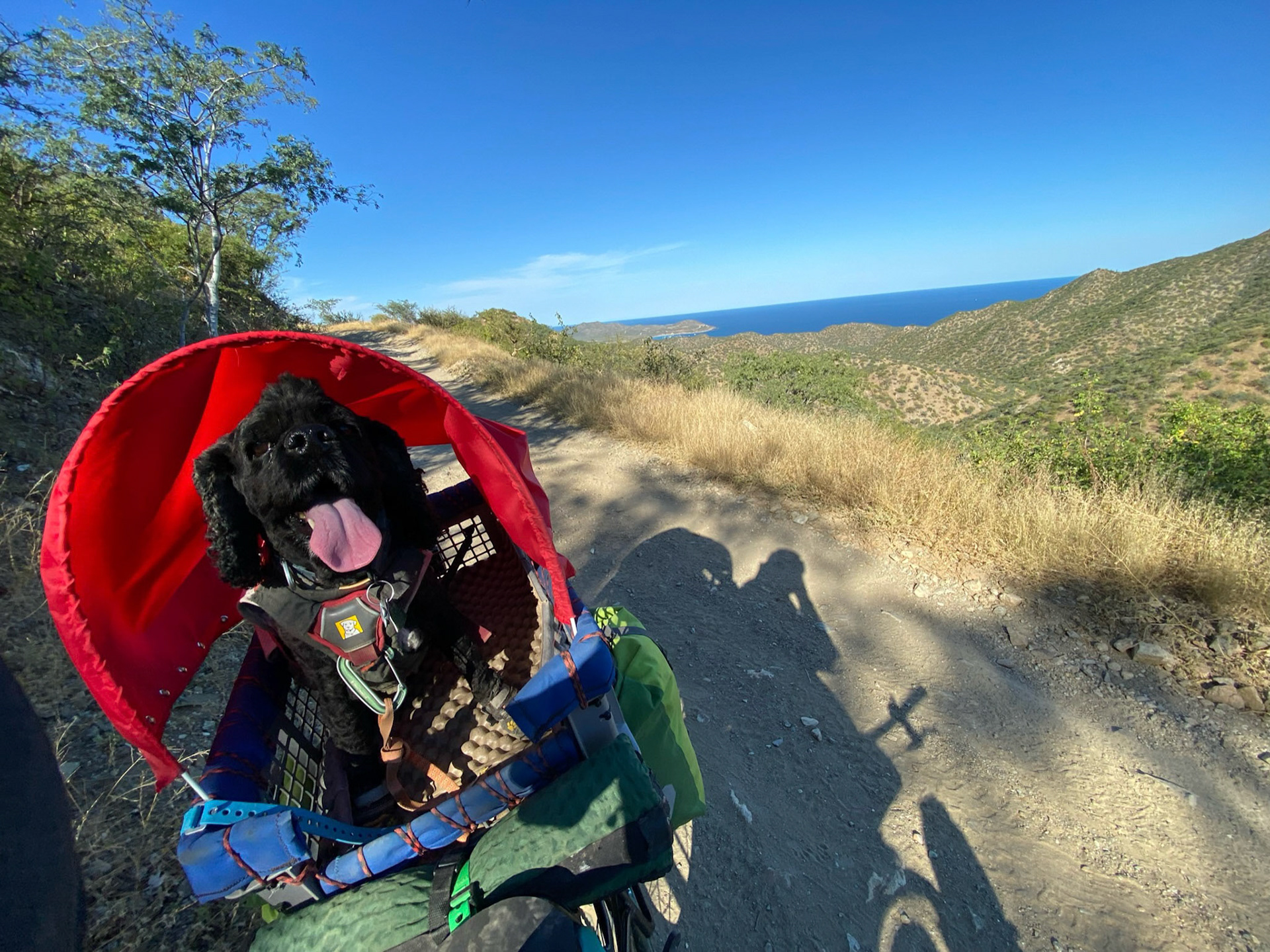 Biking Day 1: Hot dog 🥵 🐶 but awesome canopy