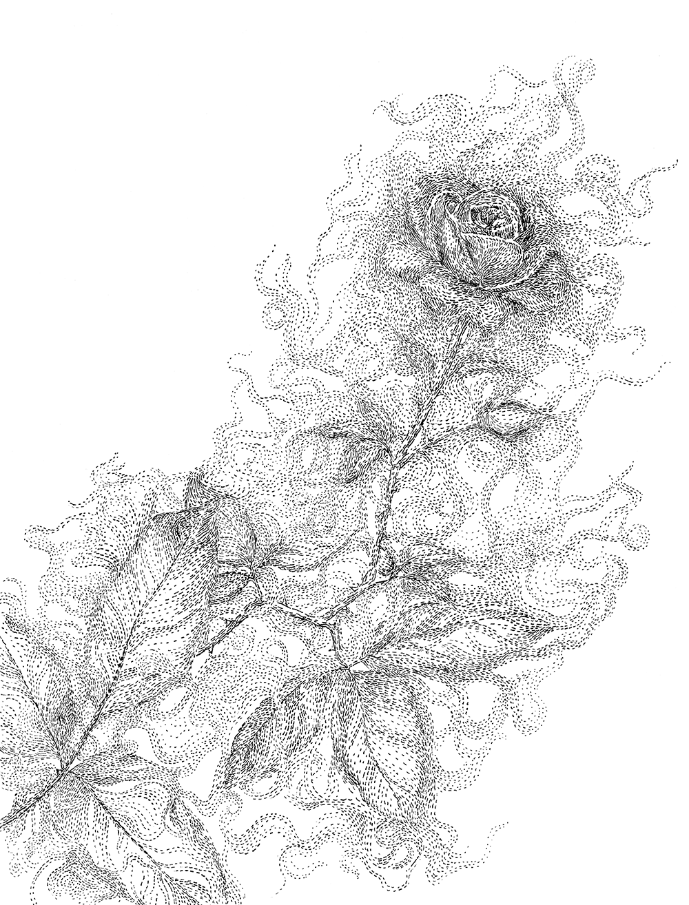 Interior Illustration