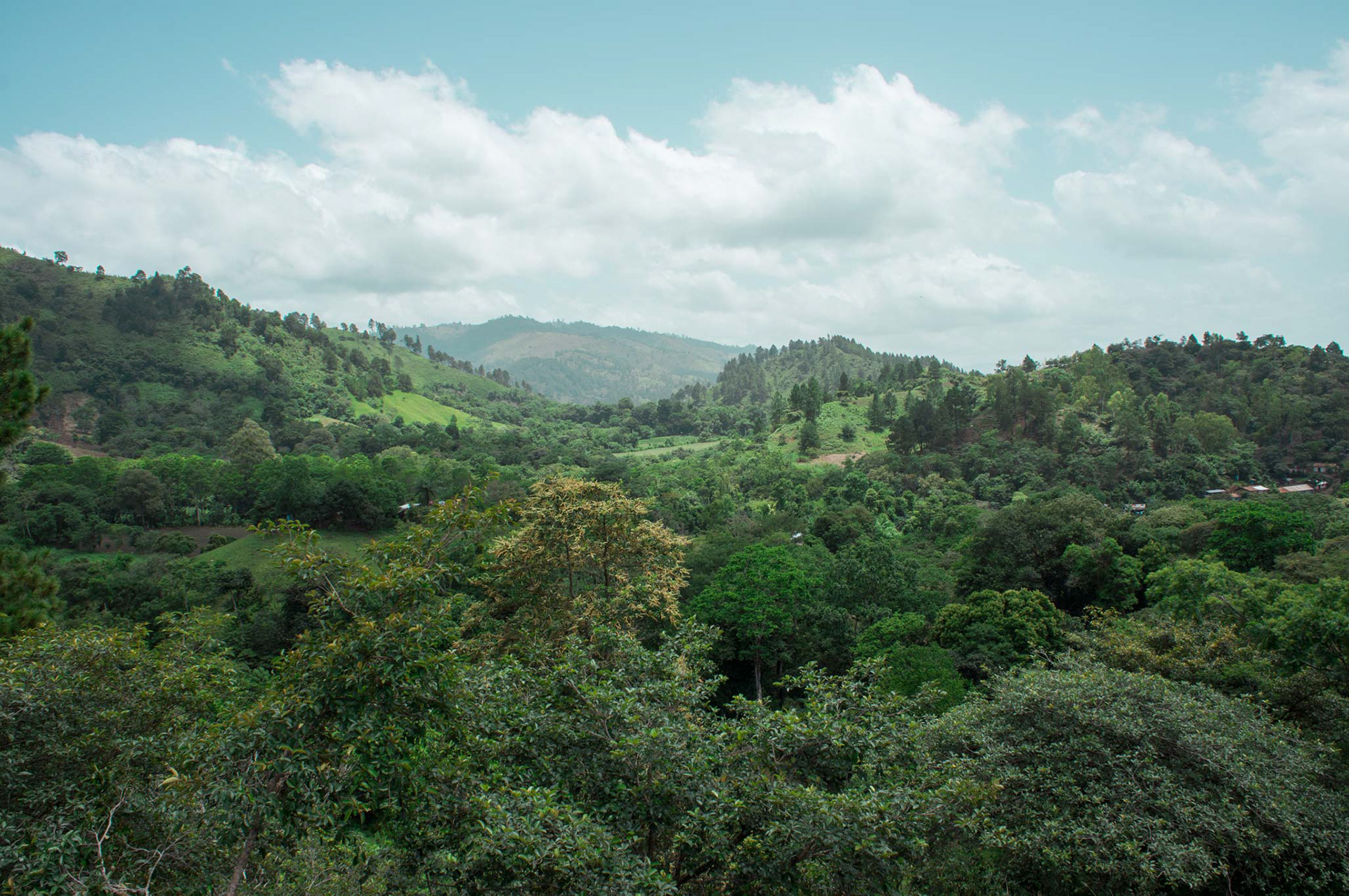 nicaragua, jalapa, dokumentation, film, filmemacher, volkach, wuerzburg, franken, gebirge
