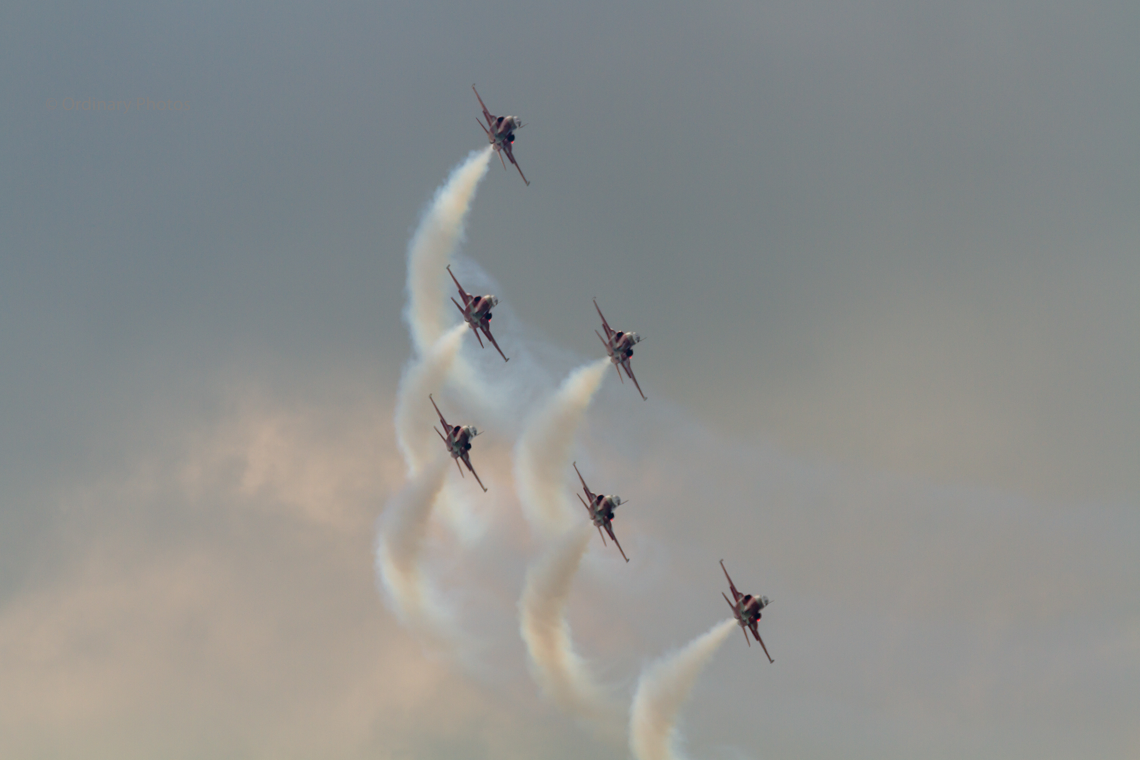 Patrouille Suisse, vliegend met zes F-5E's, tijdens de Luchtmachtdagen 2019 op Vliegbasis Volkel