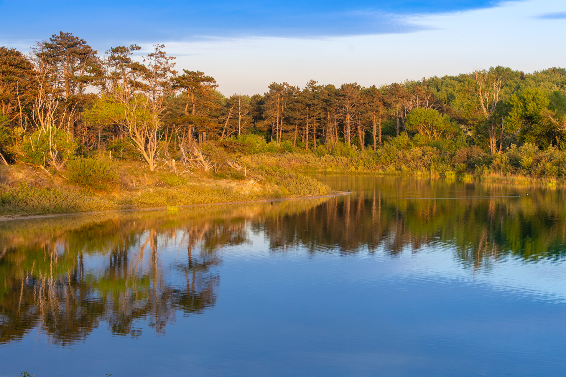 Ganzenhoek, Meijendel