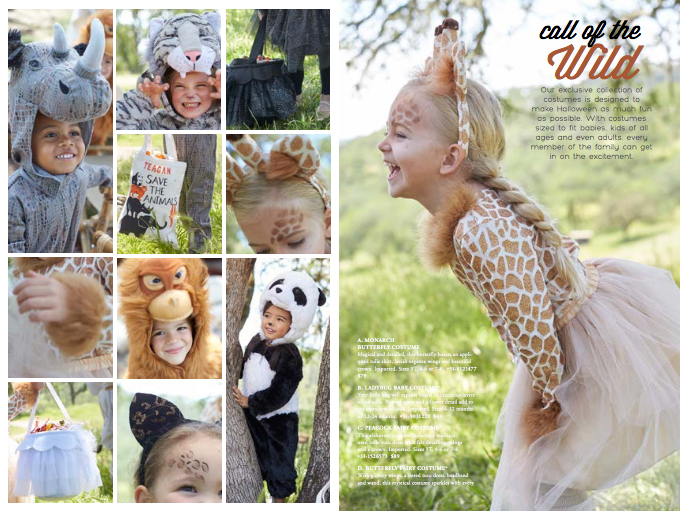 Cheryl Courvoisier Pottery Barn Kids Catalog Layout Concepts