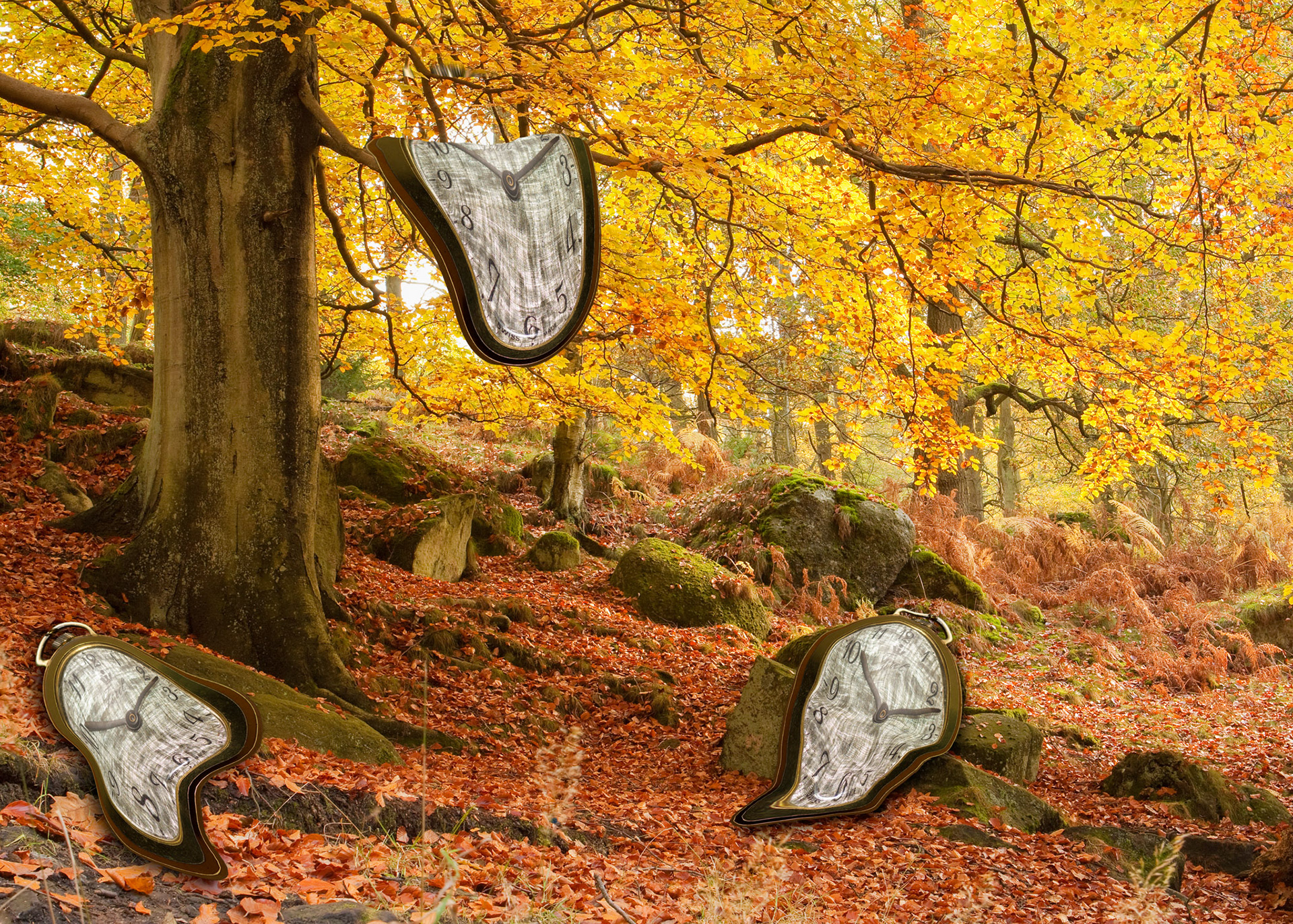 Dali Autumn