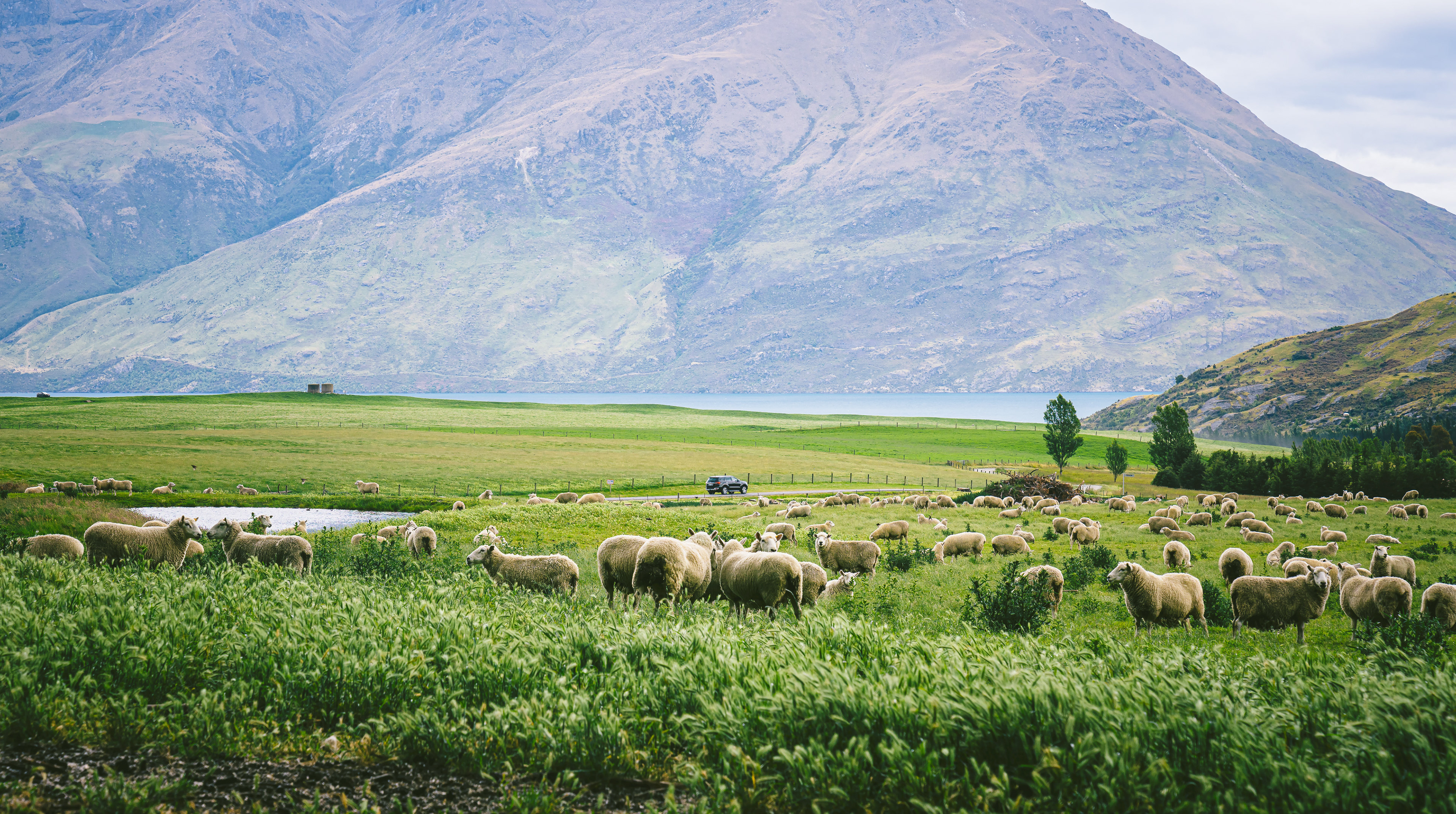 Queenstown, New Zealand