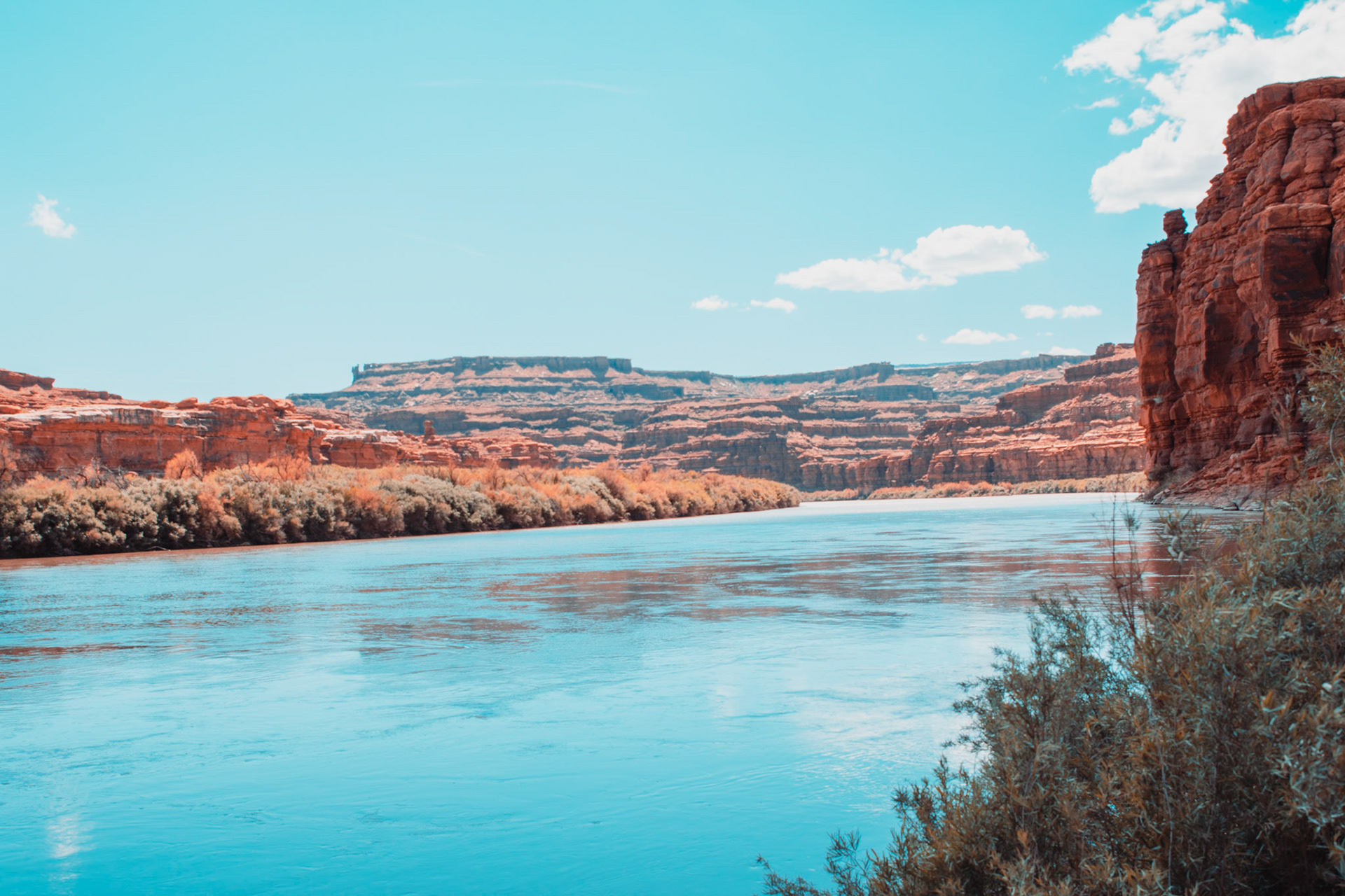 The Colorado River bank. 