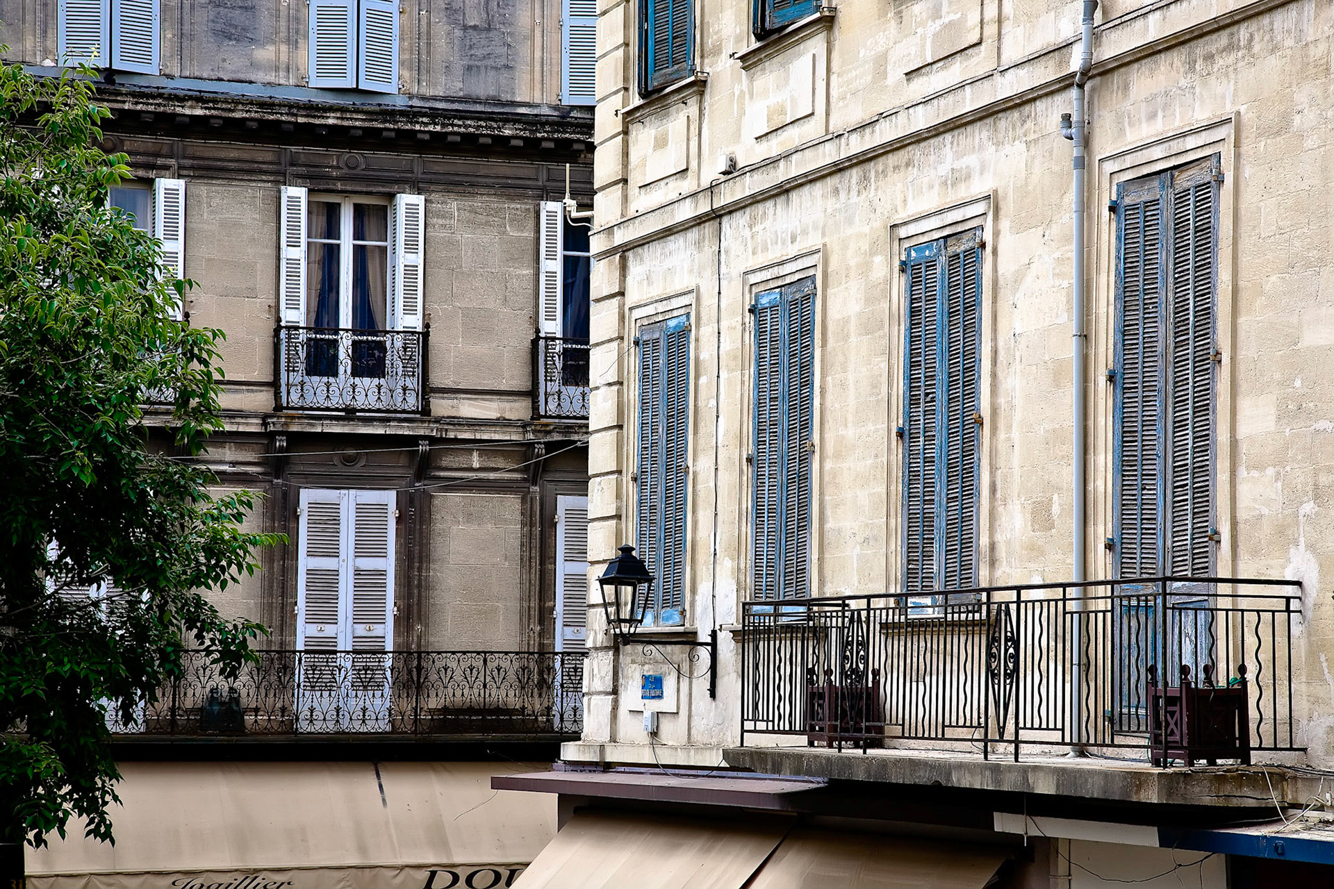 Avignon