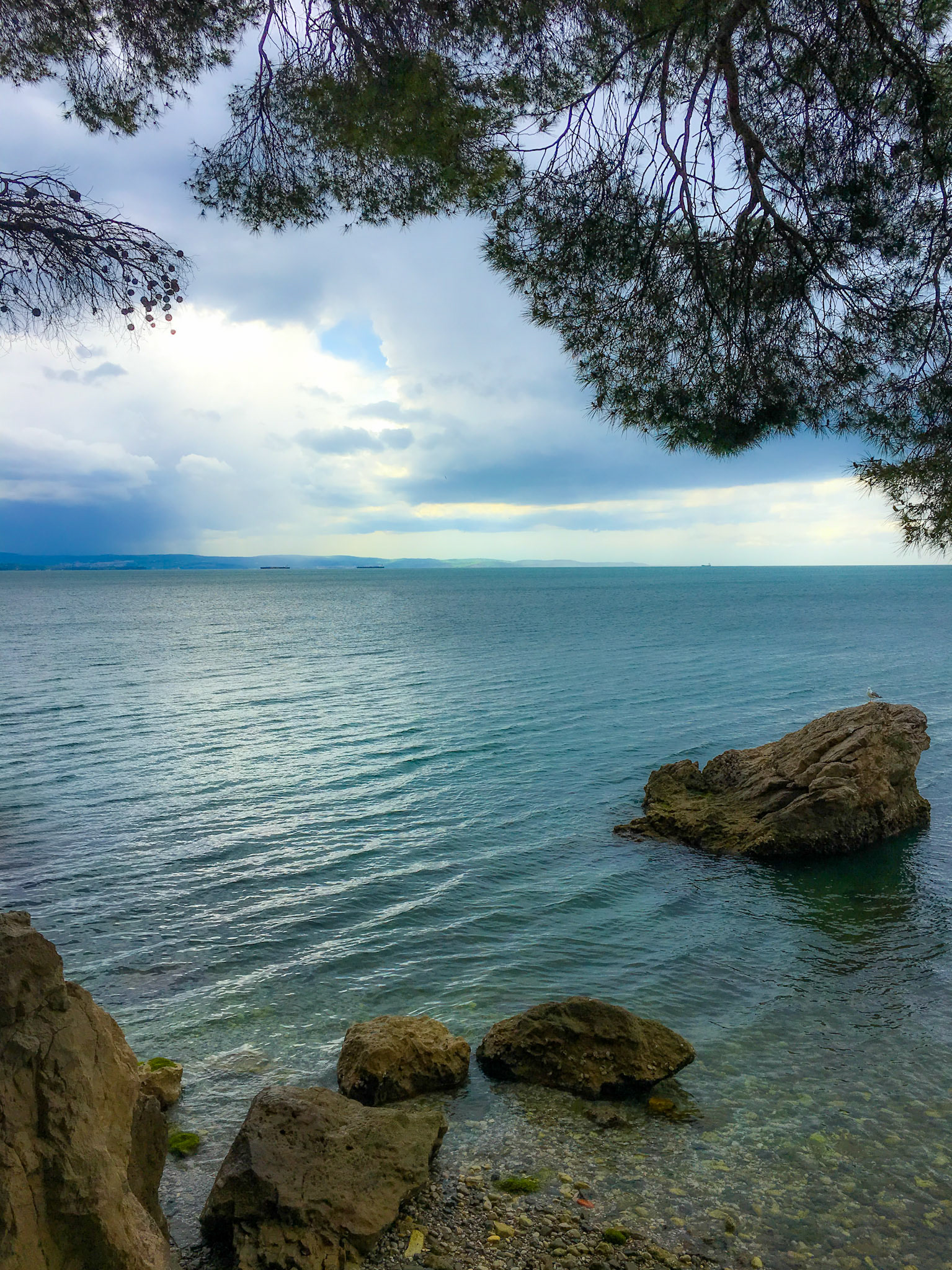 Mandelbrot at Miramare