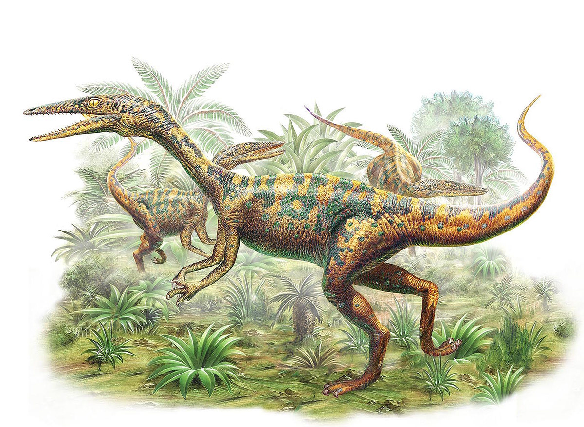 Adrian Chesterman Dinosaurs