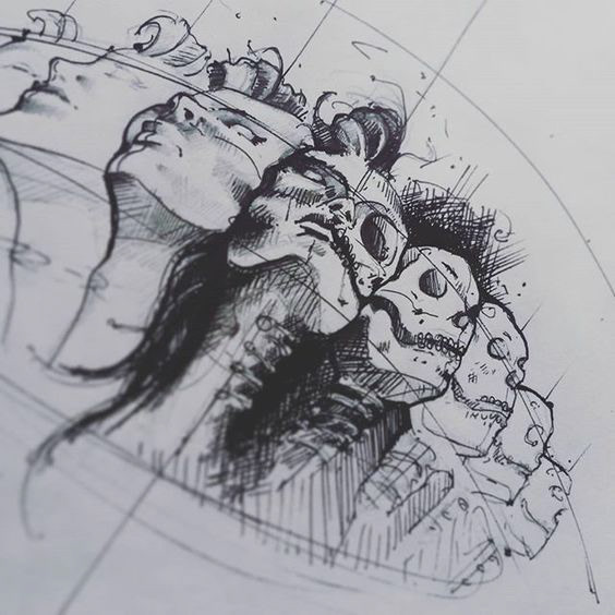 anatomy