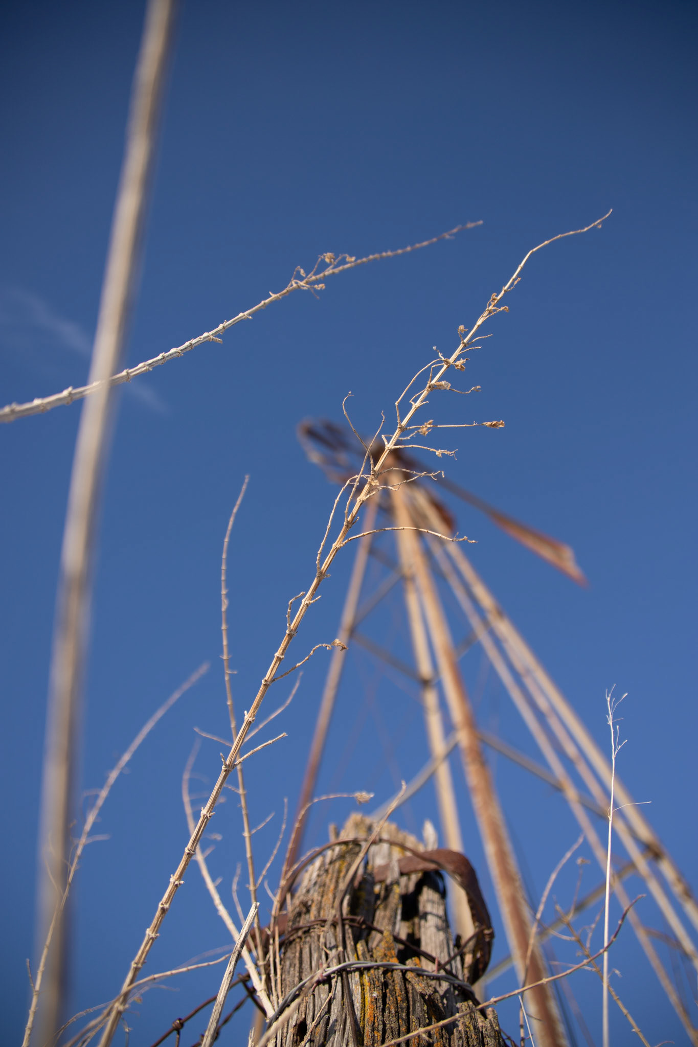 windmills