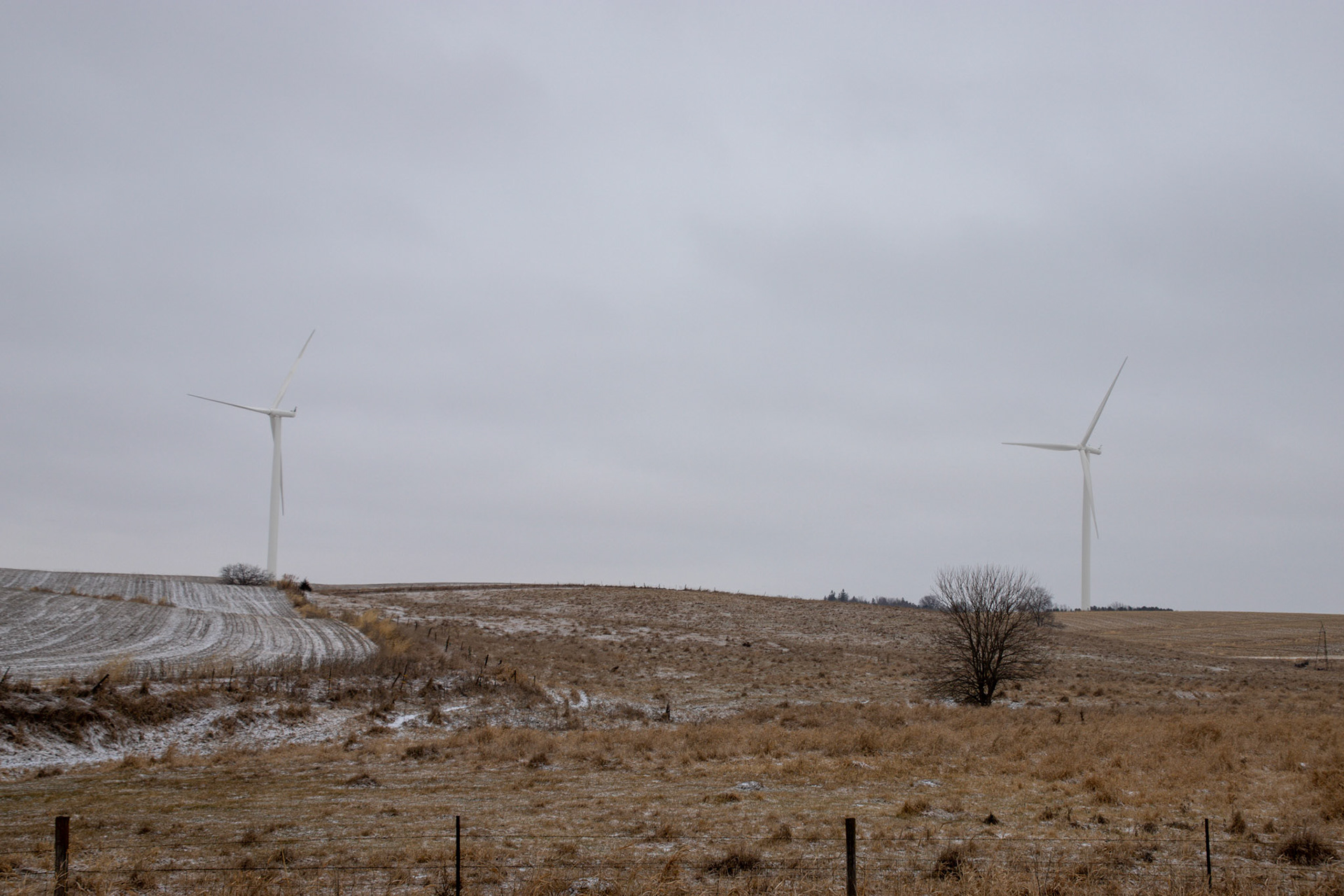 windmills