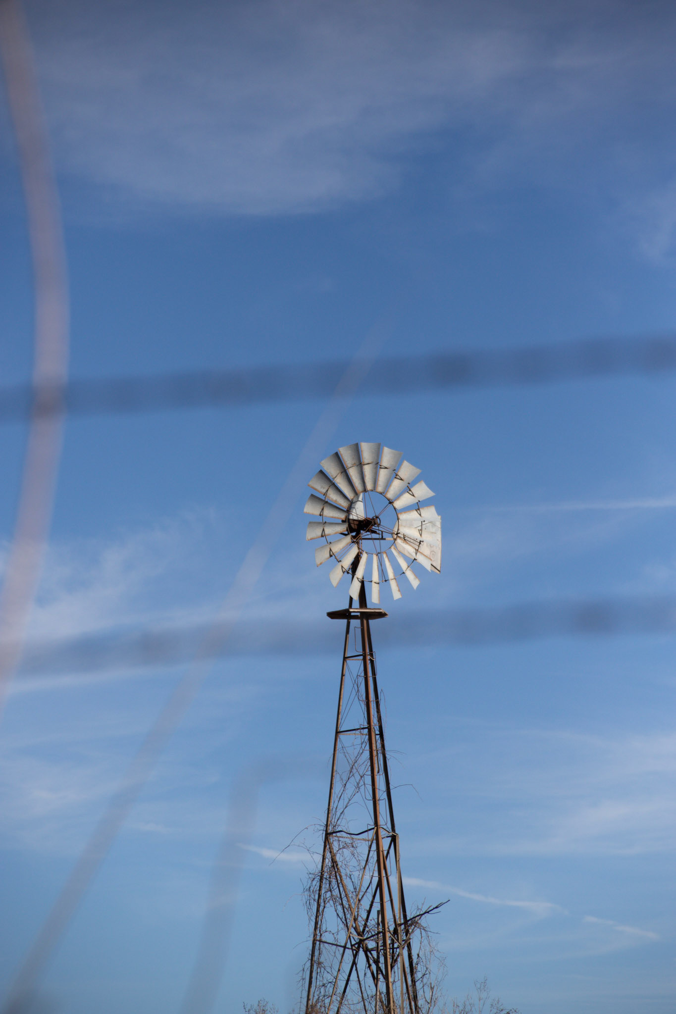 windmills