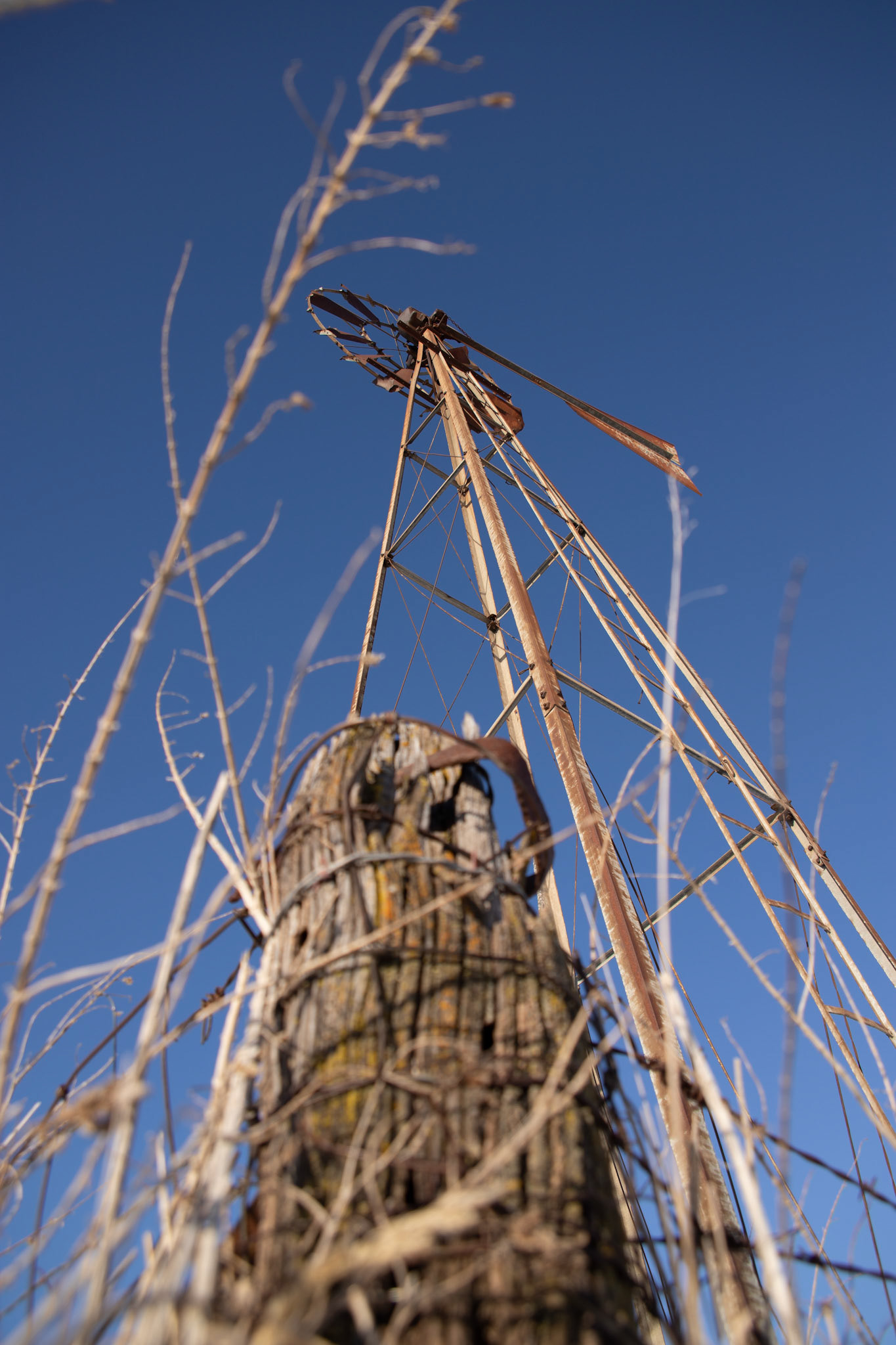 windmills