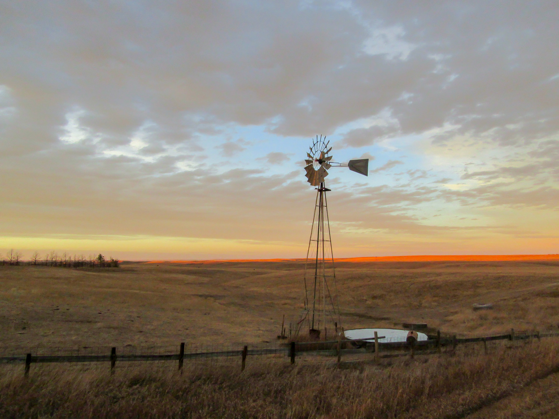 windmills