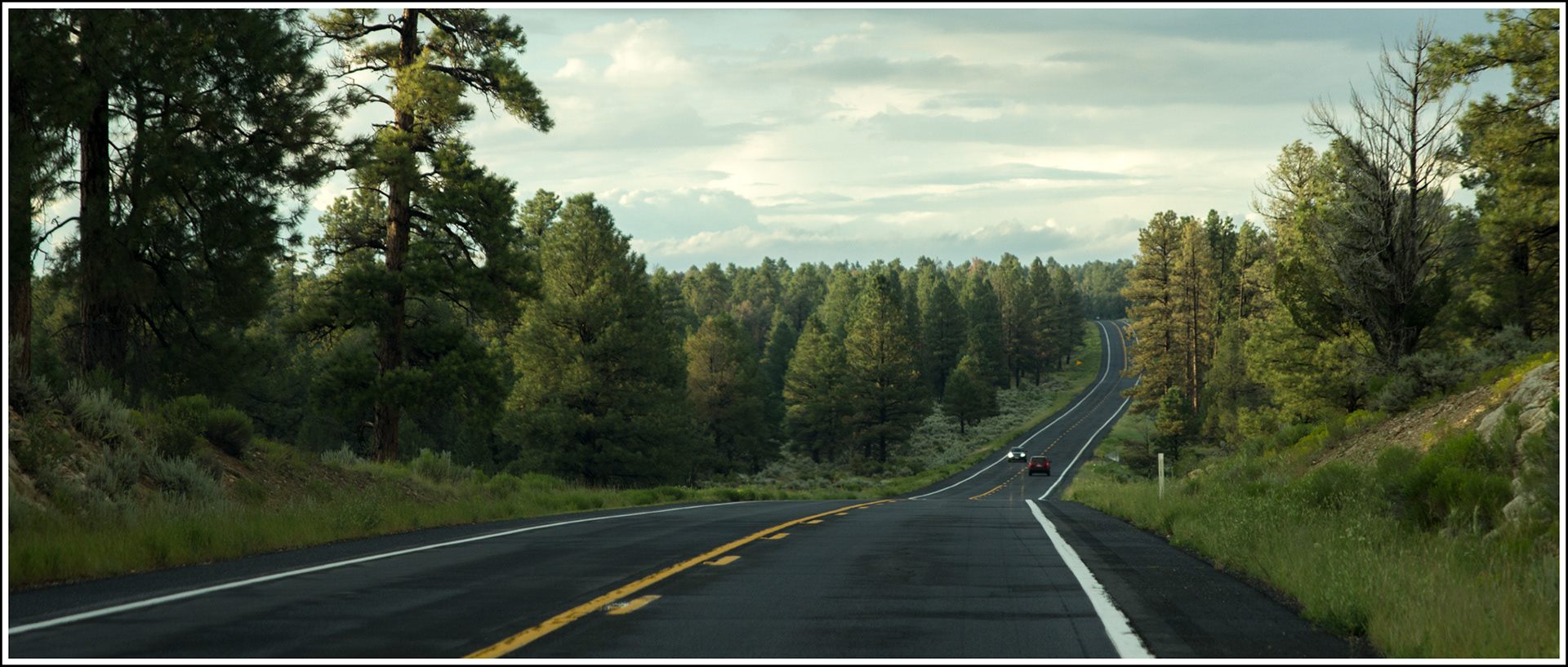 To Grand Canyon, 2015