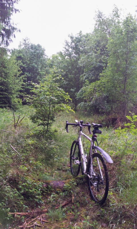 Deer Pass is not for Cycling...
