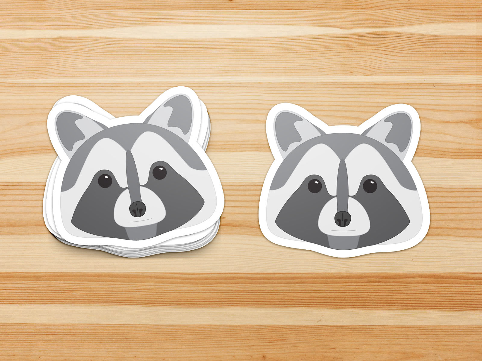 Variation of Raccoon