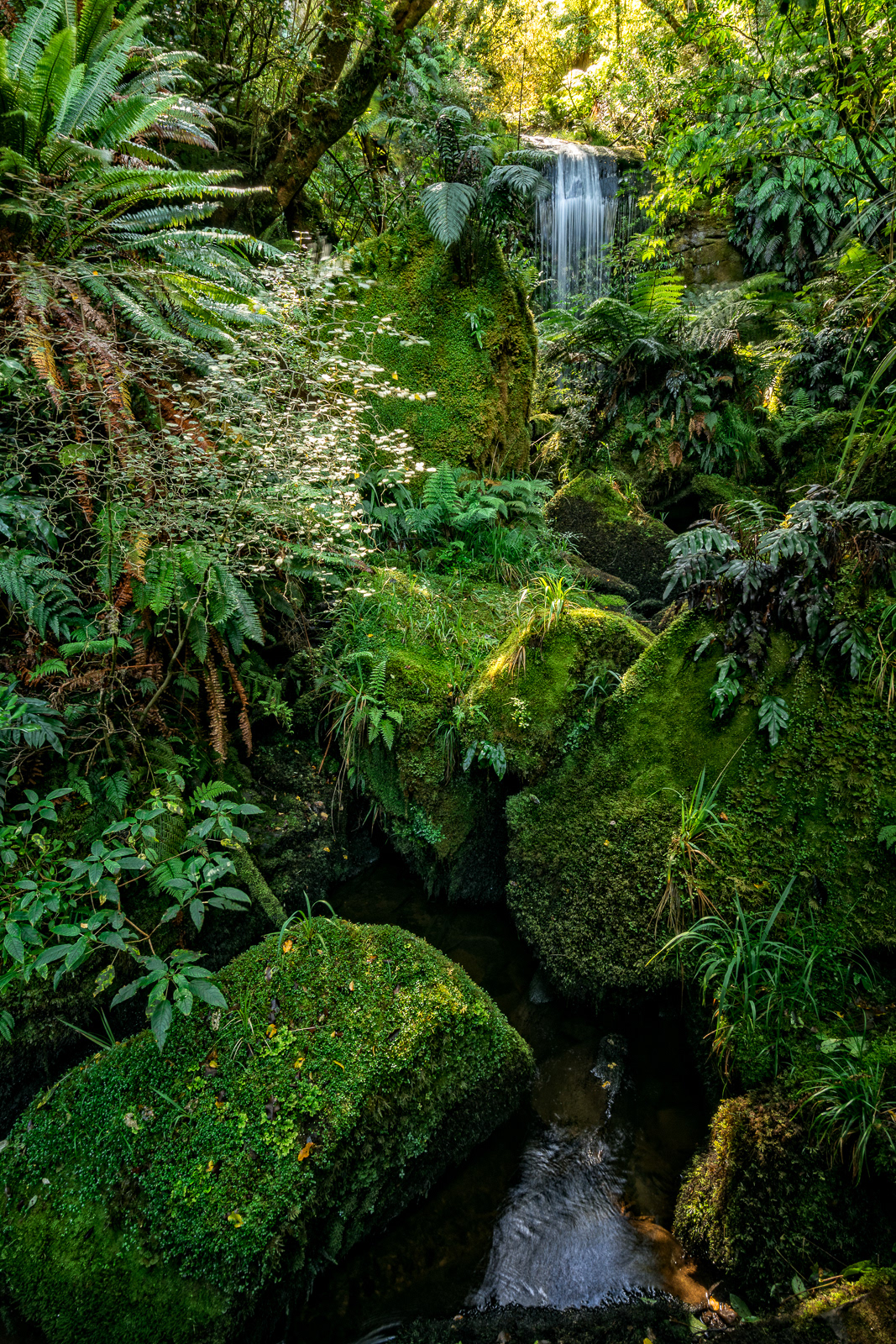 Koropuku Falls - Catlins, Otago