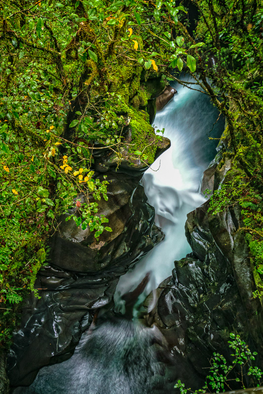 The Chasm, Milford Sound - Fjiordland