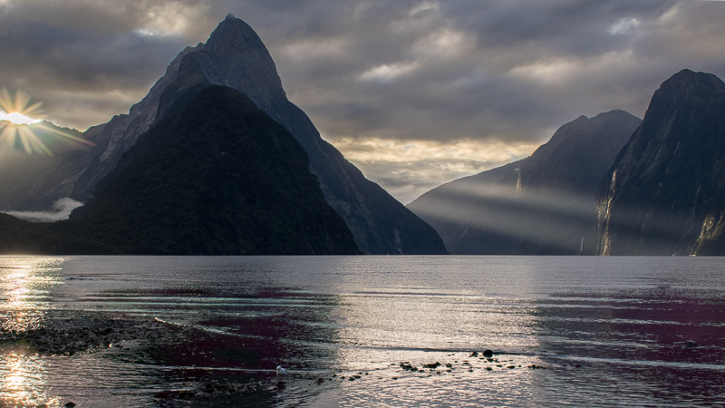 Last light Milford Sound - Fjiordland