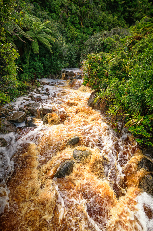 Coal Creek, Karamea - West Coast