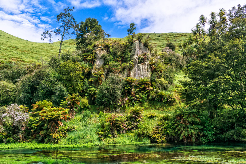 Te Waihou Walkway 2, Putaruru - Waikato