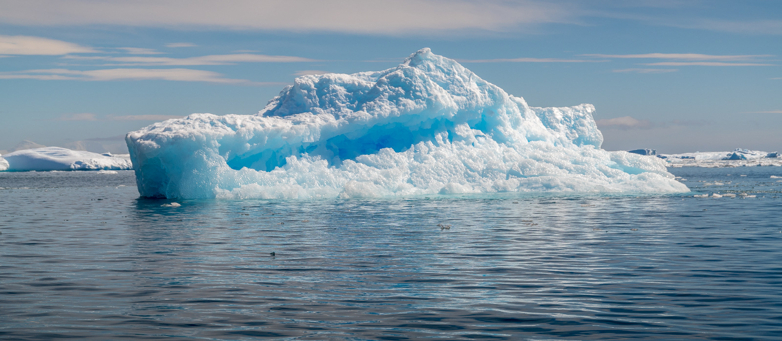 Blue icerberg - Cierva Cove