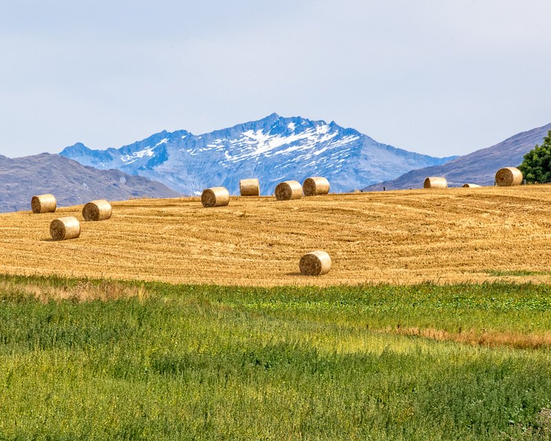 Fields alongside Crown Range Rd, Arrowtown - Otago