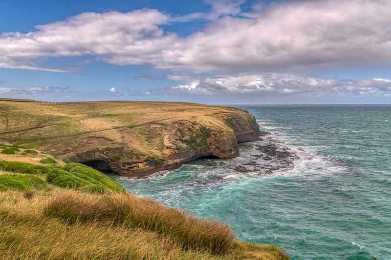 Flaxy Head - Catlins