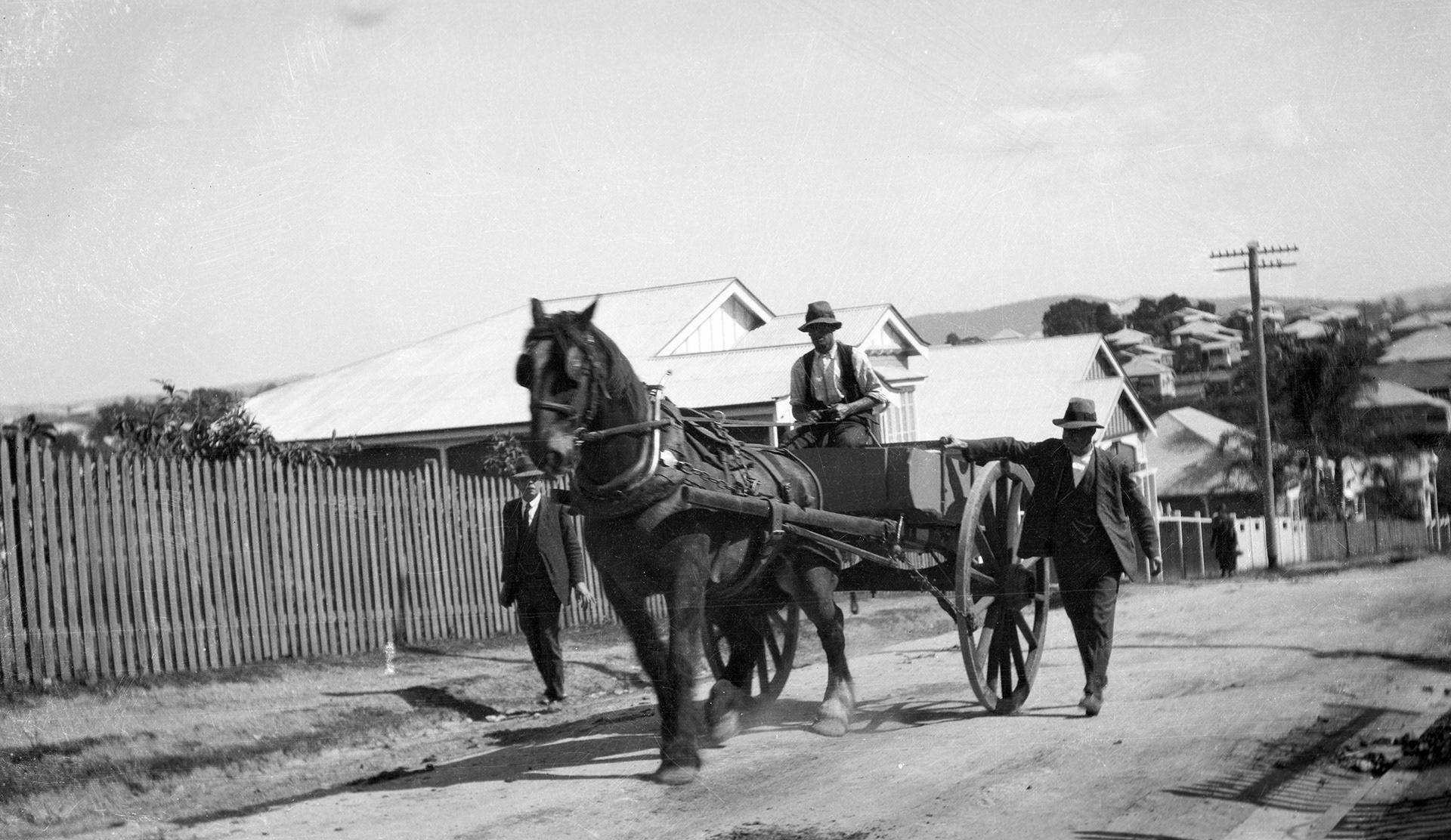 Horse drawn cart on road