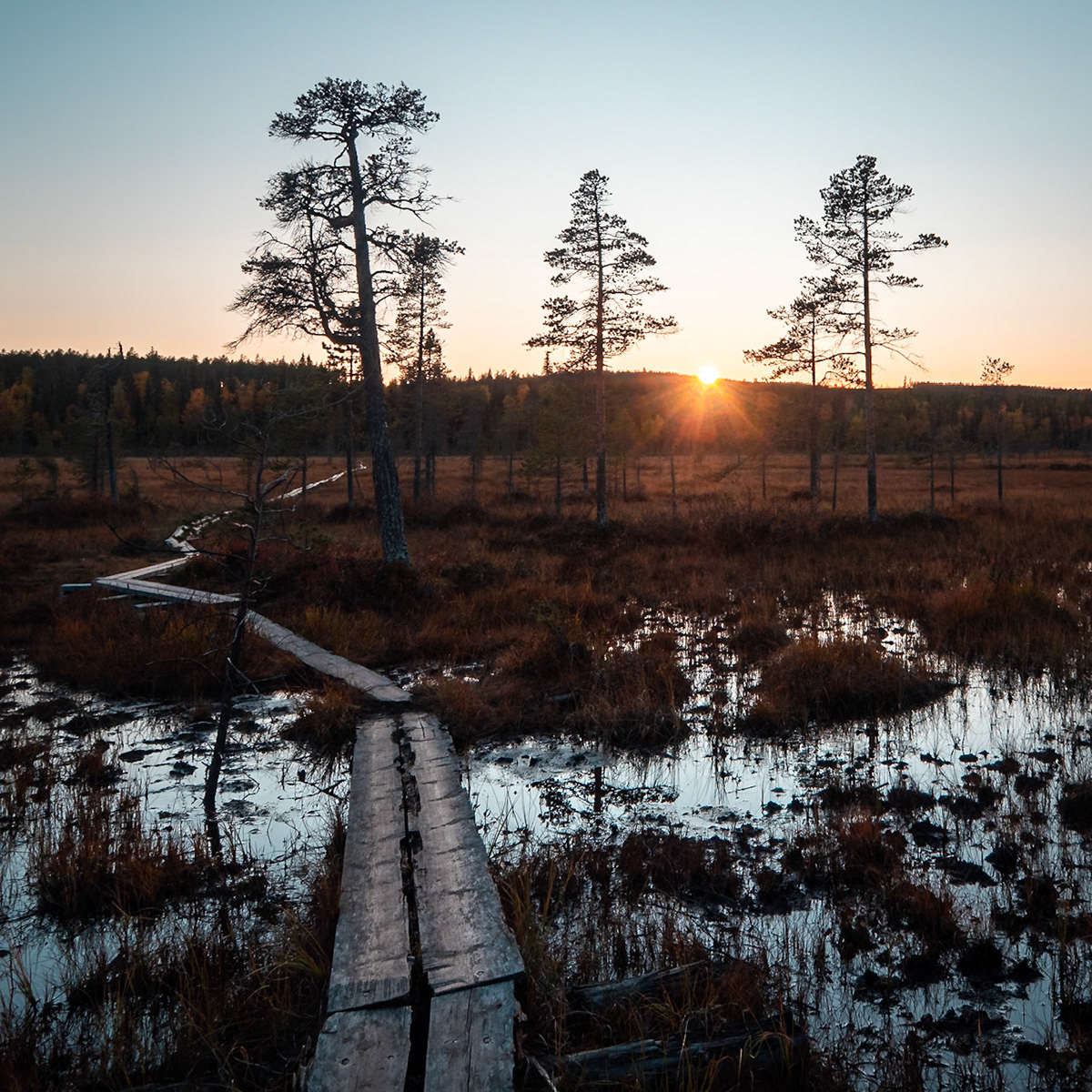 Lightseeker Photographs Autumn in Northern Sweden Herbst in