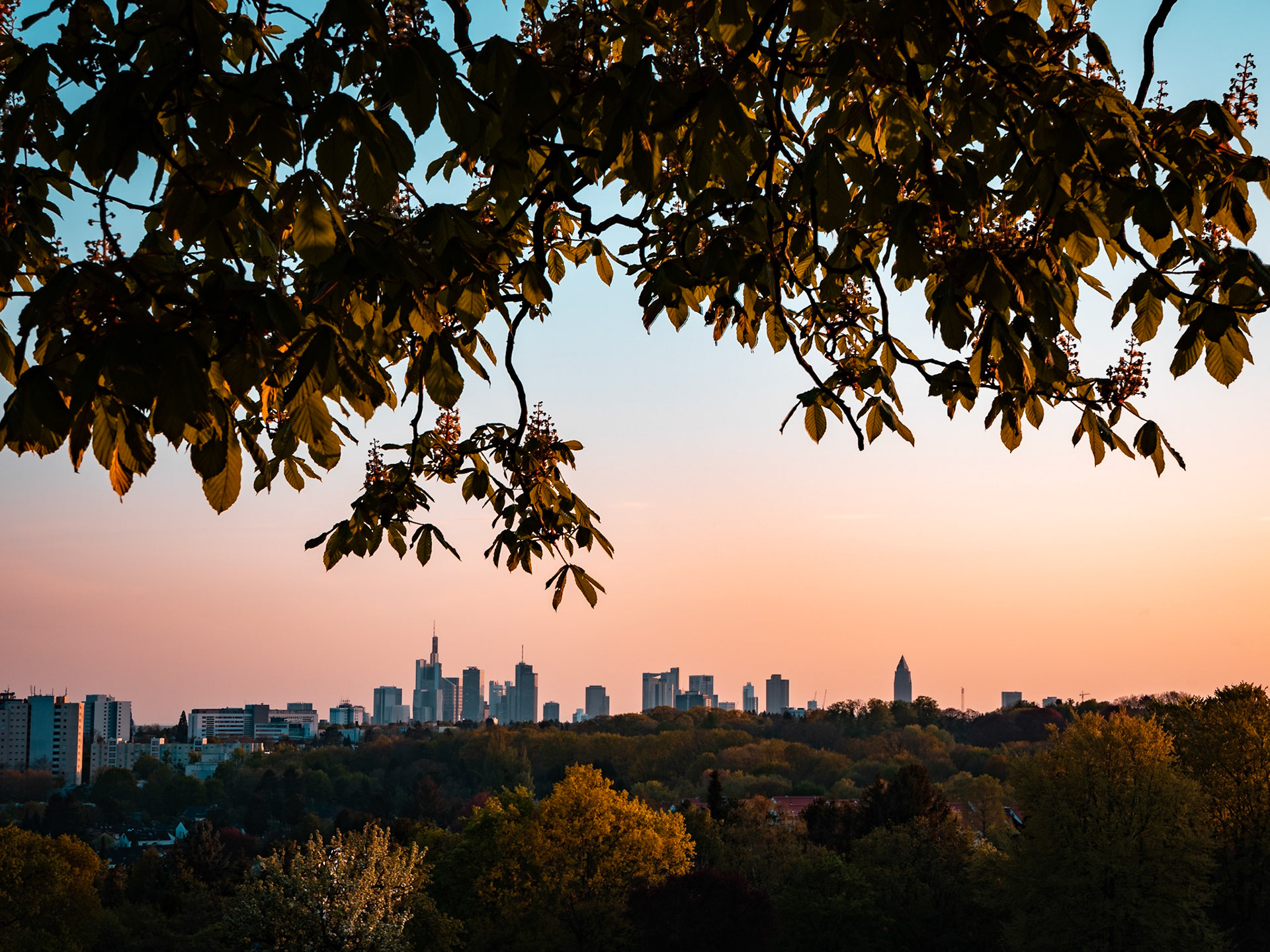 Lohrberg, Frankfurt