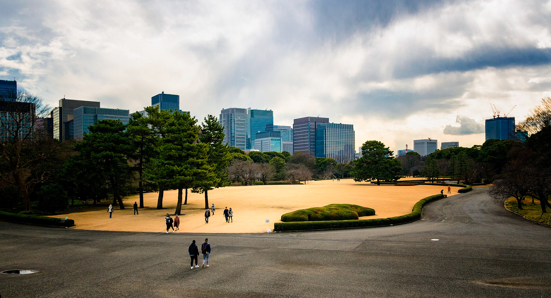 Buidings Behind Park Tokyo Japan 2