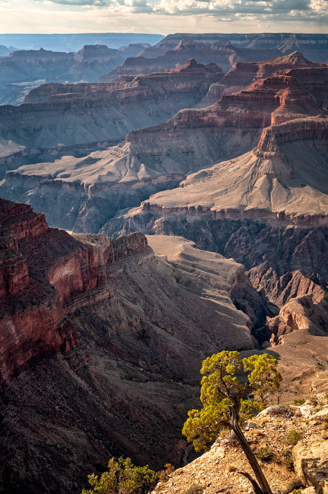 Grand Canyon 1