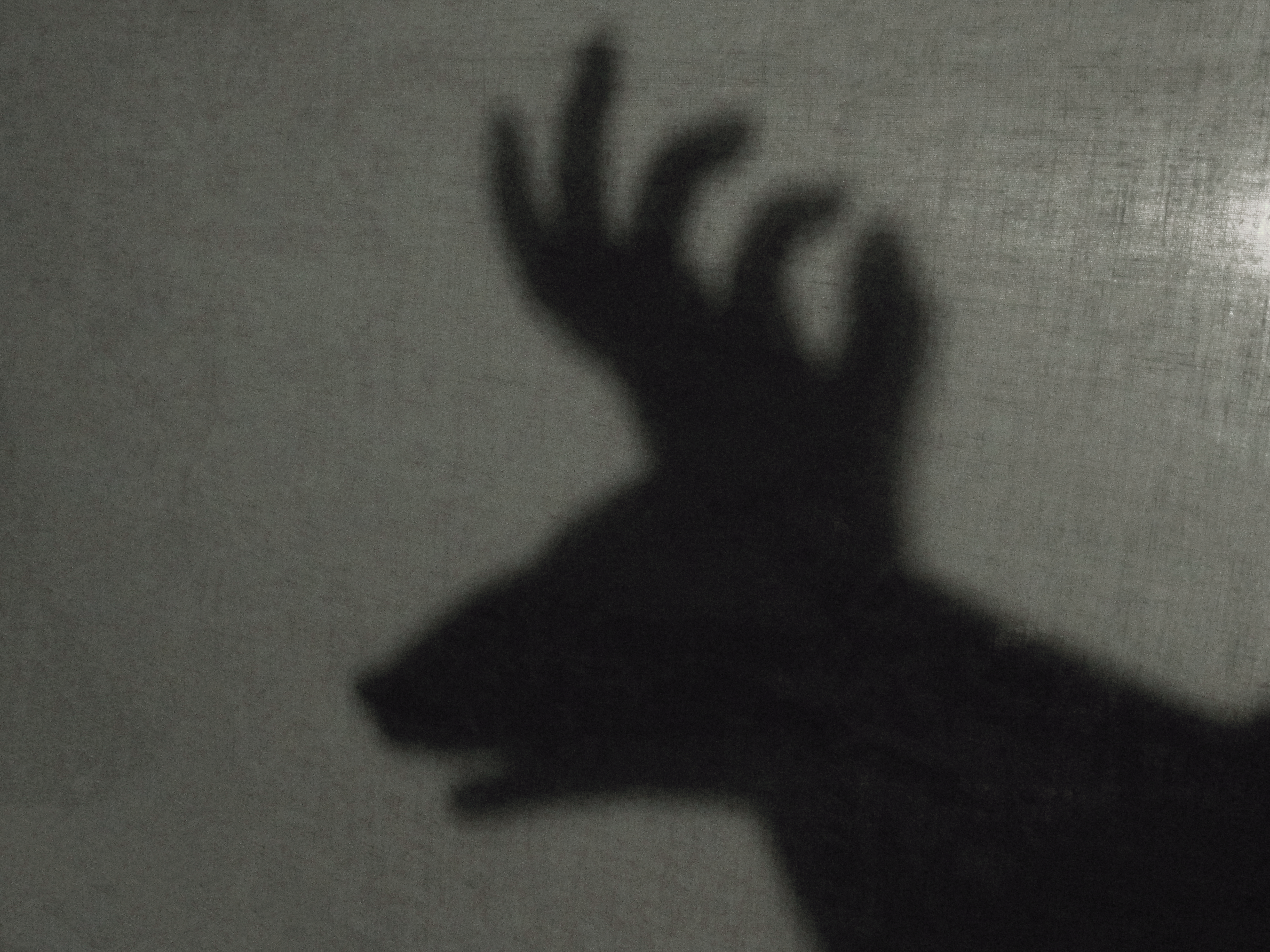 Shadow Puppet