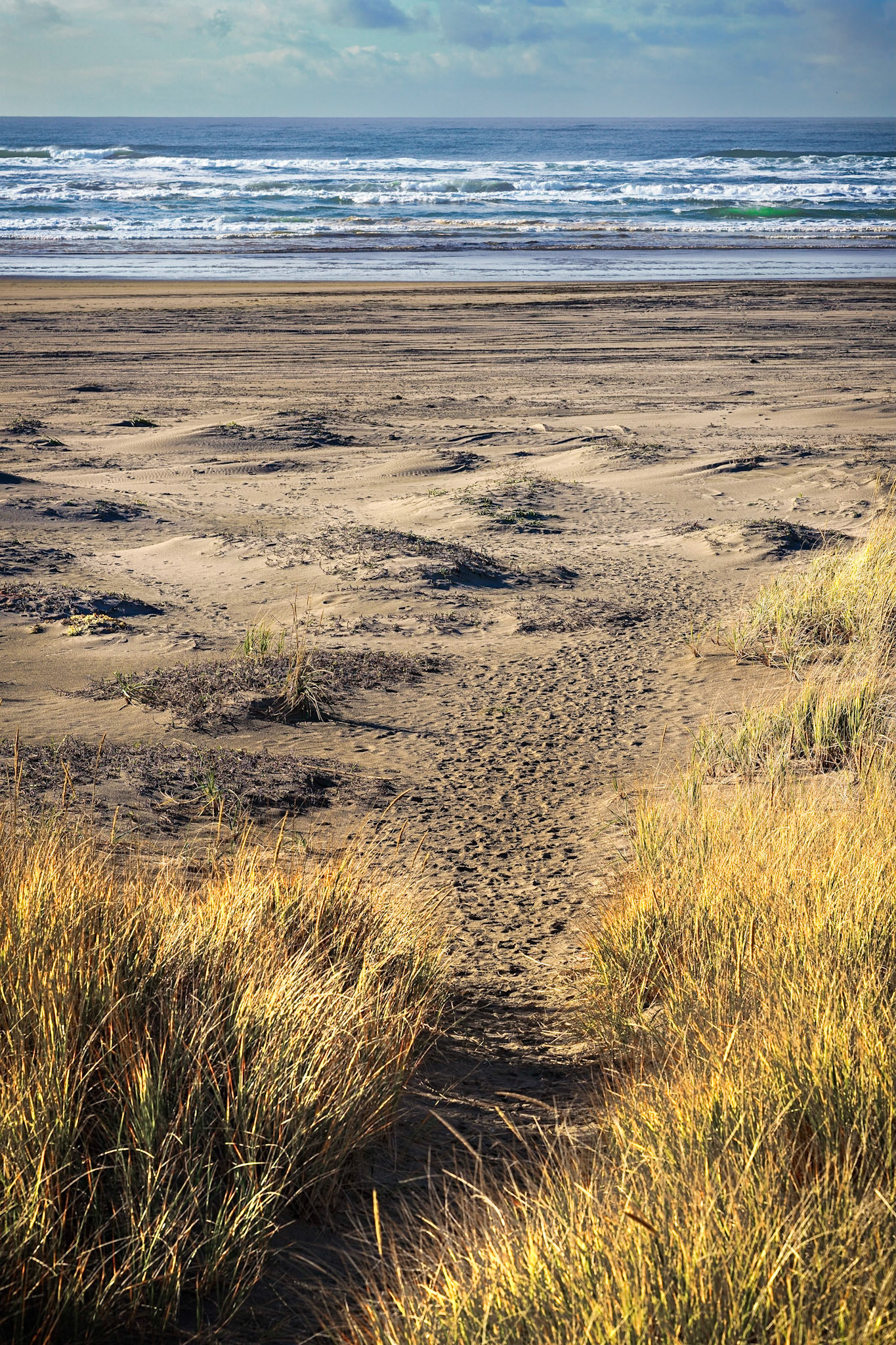 Klipsan Beach WA, Nov 2020