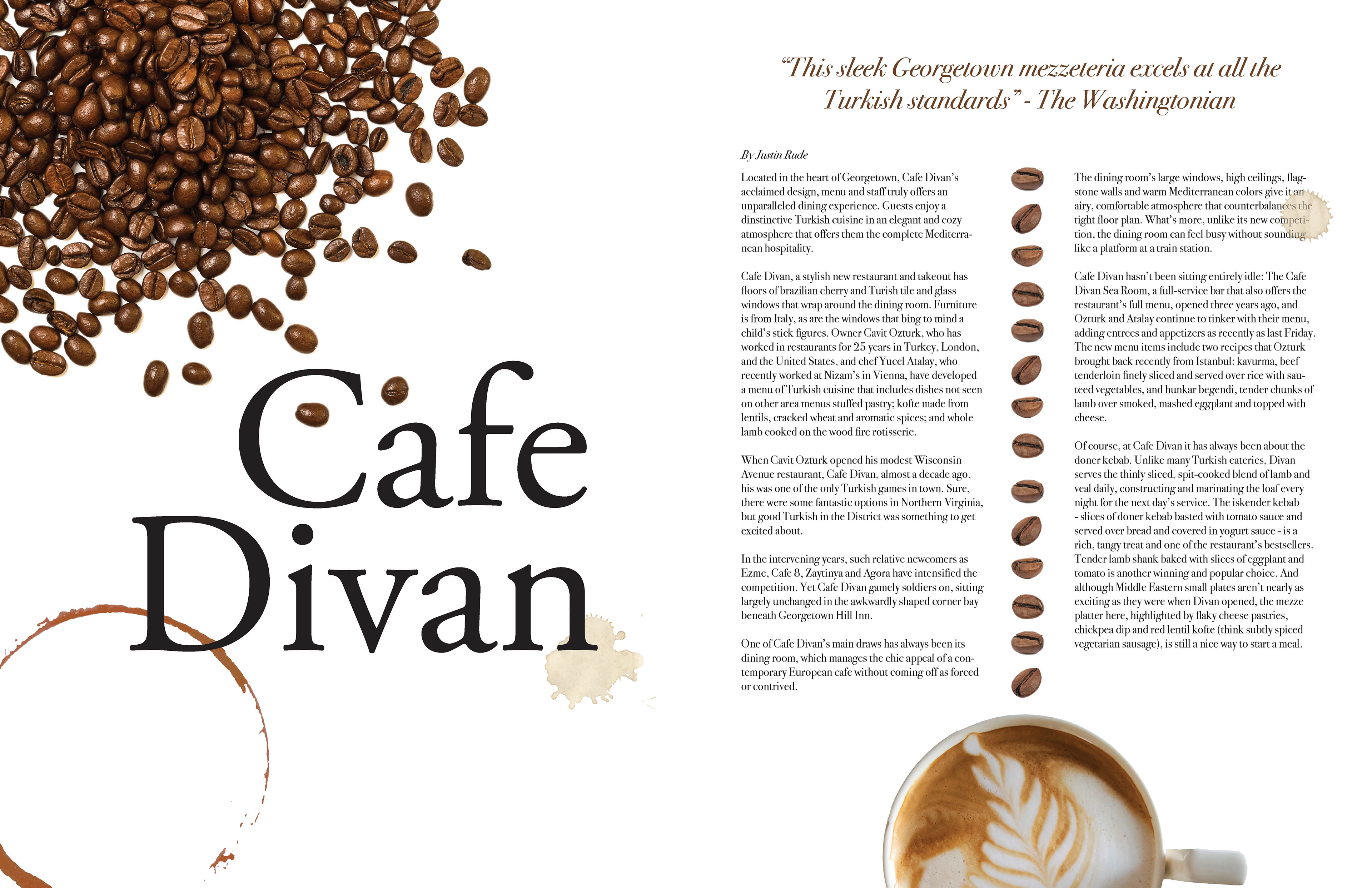 VGLY - Cafe Divan Magazine Spread