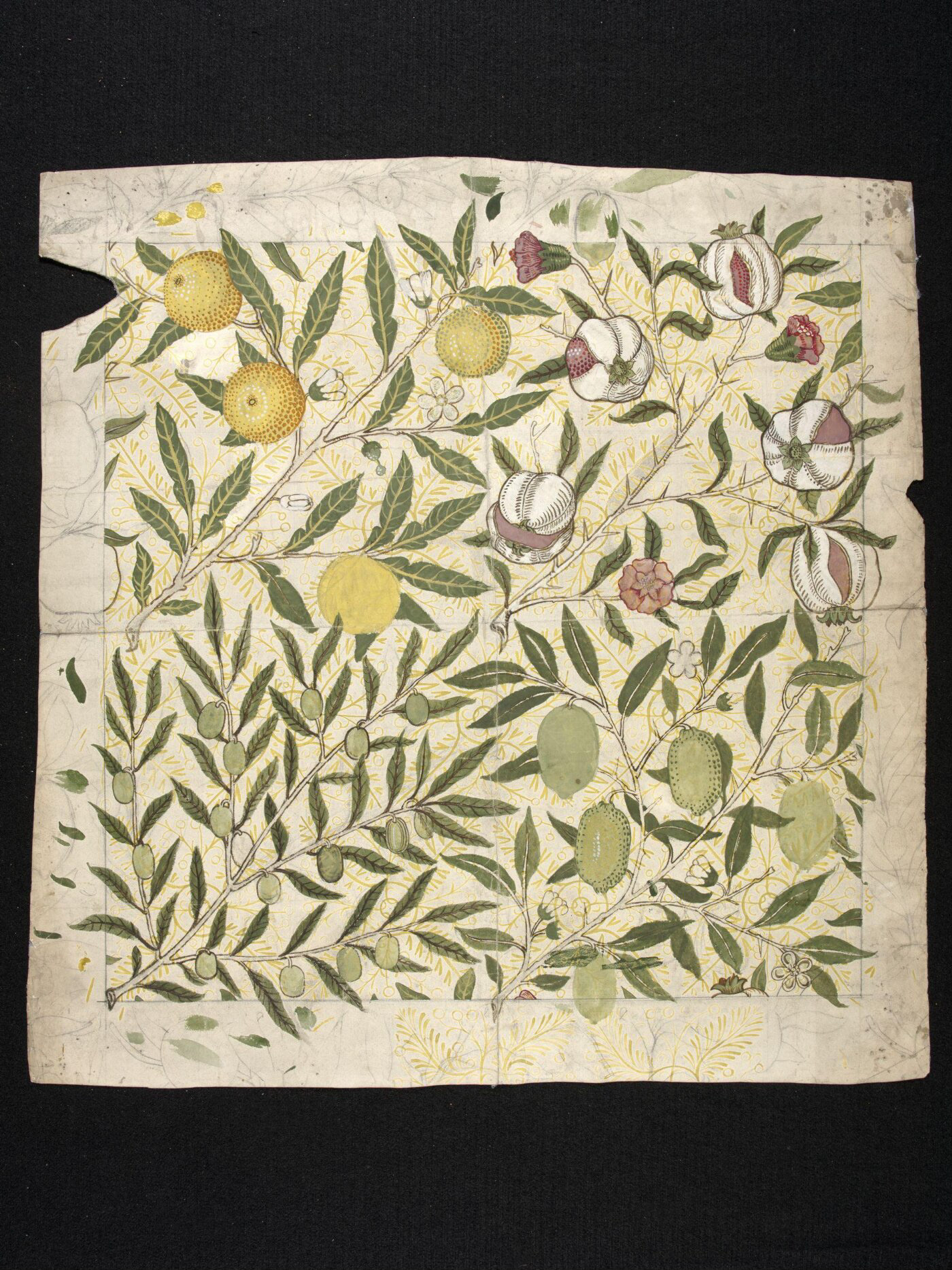 William Morris