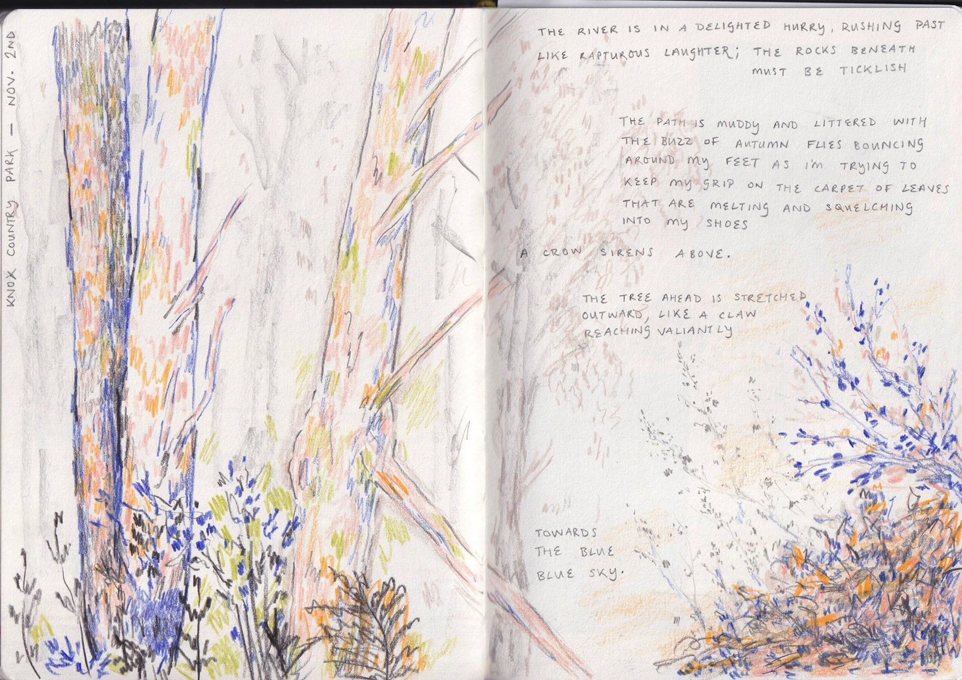 Location drawing and own writing