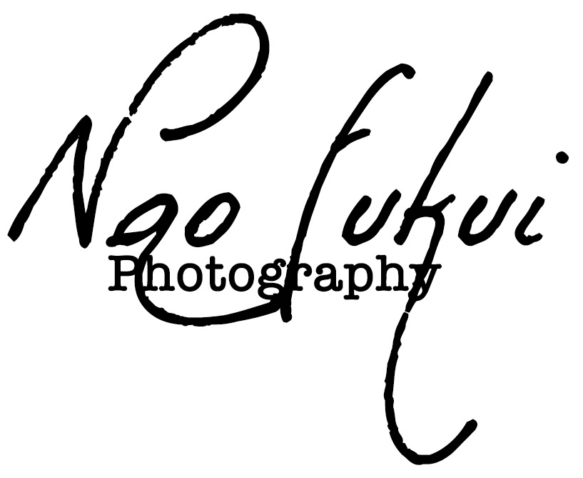 Nao Fukui
